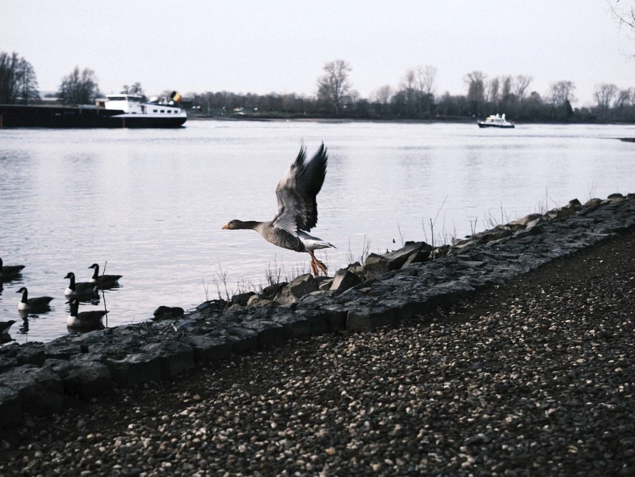 2025-12-22_10-07-03_X-T50_DSF8019 Large.jpeg