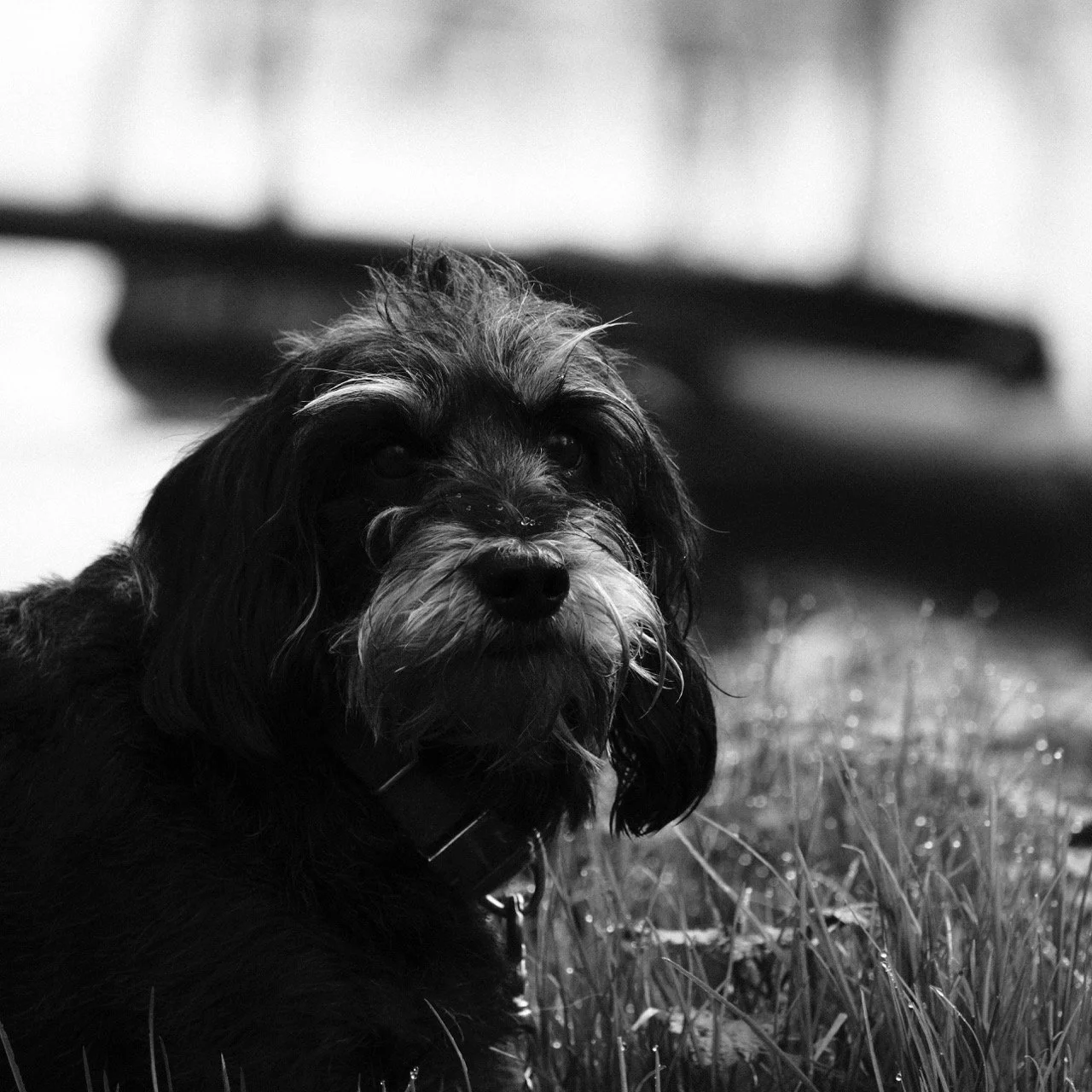 2025-12-08_10-45-58_X-T50_DSF7524 Large.jpeg