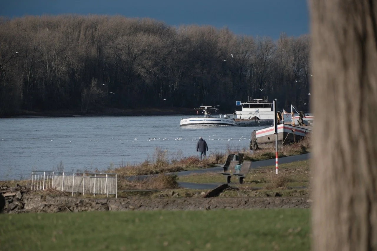 2025-12-08_11-37-34_X-T50_DSF7712 Large.jpeg