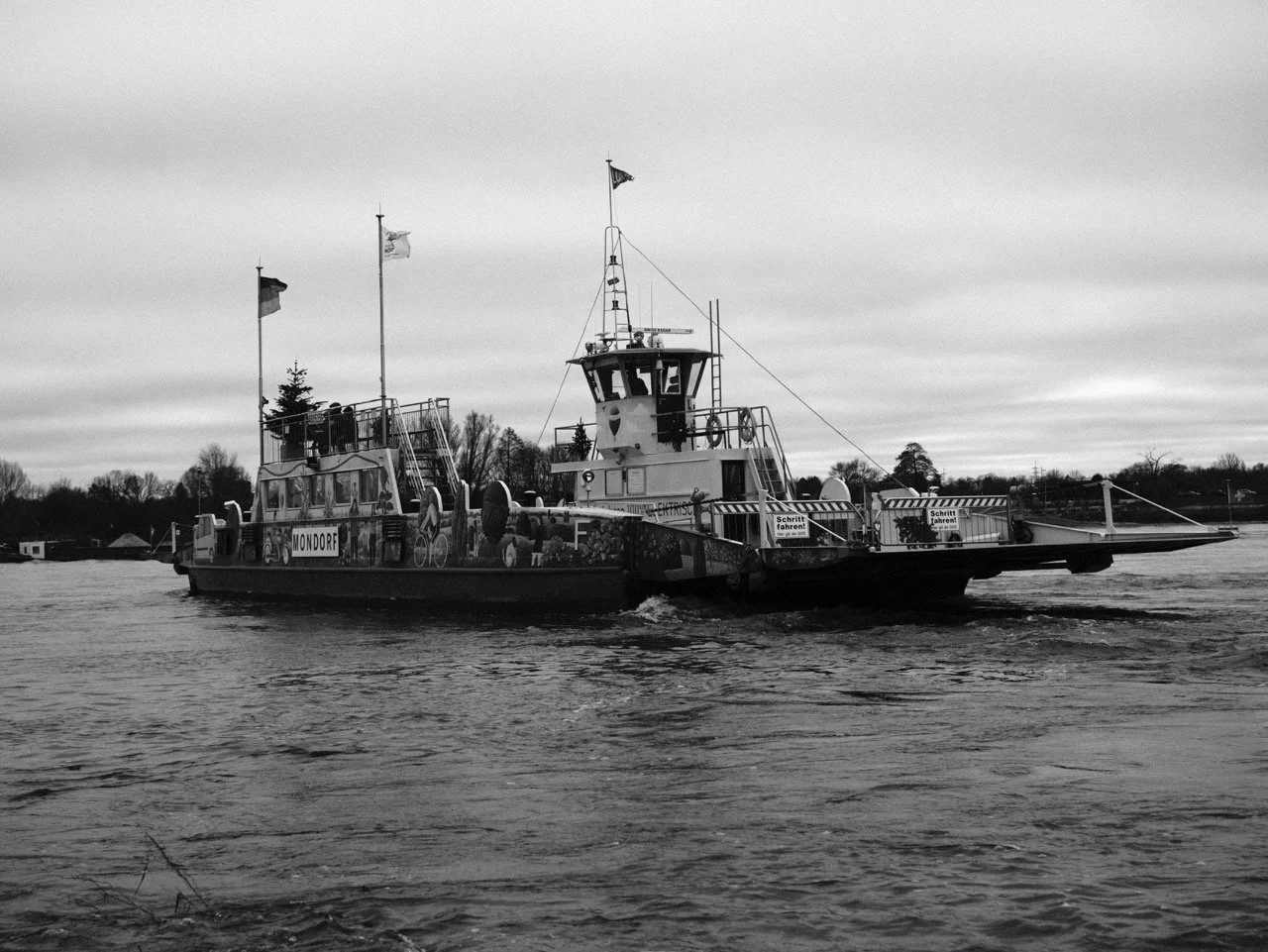 2025-12-14_11-47-30_X-T50_DSF7865 Large.jpeg