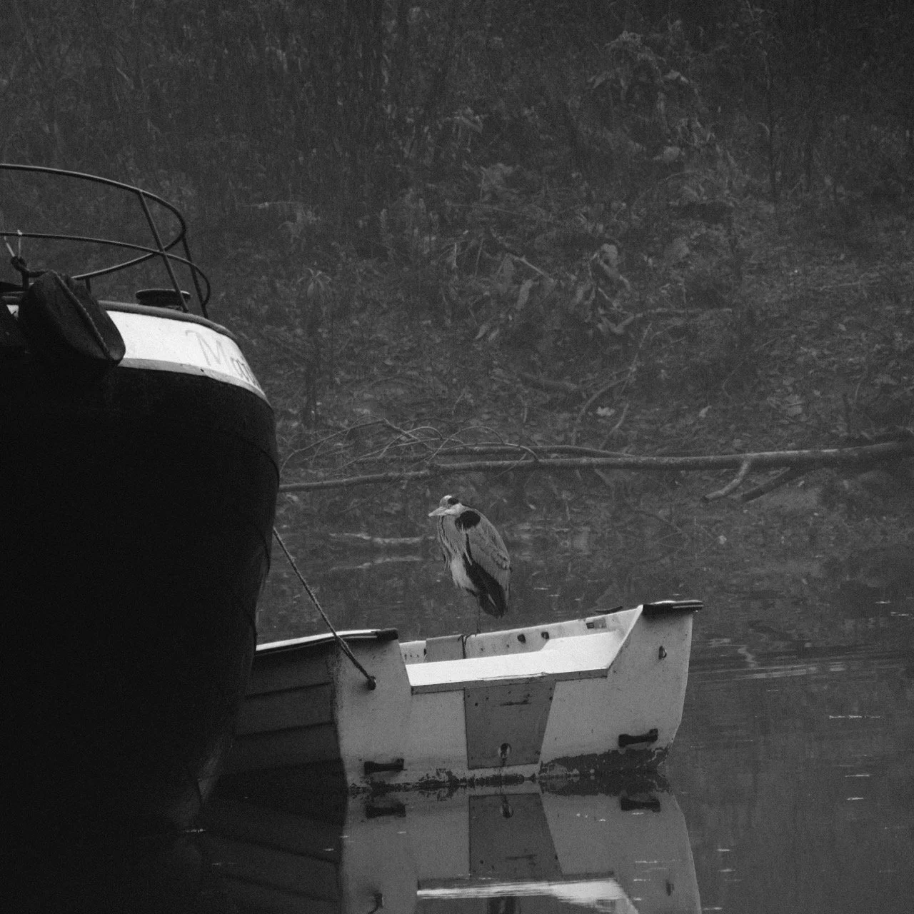 2025-12-08_10-45-44_X-T50_DSF7521 Large.jpeg