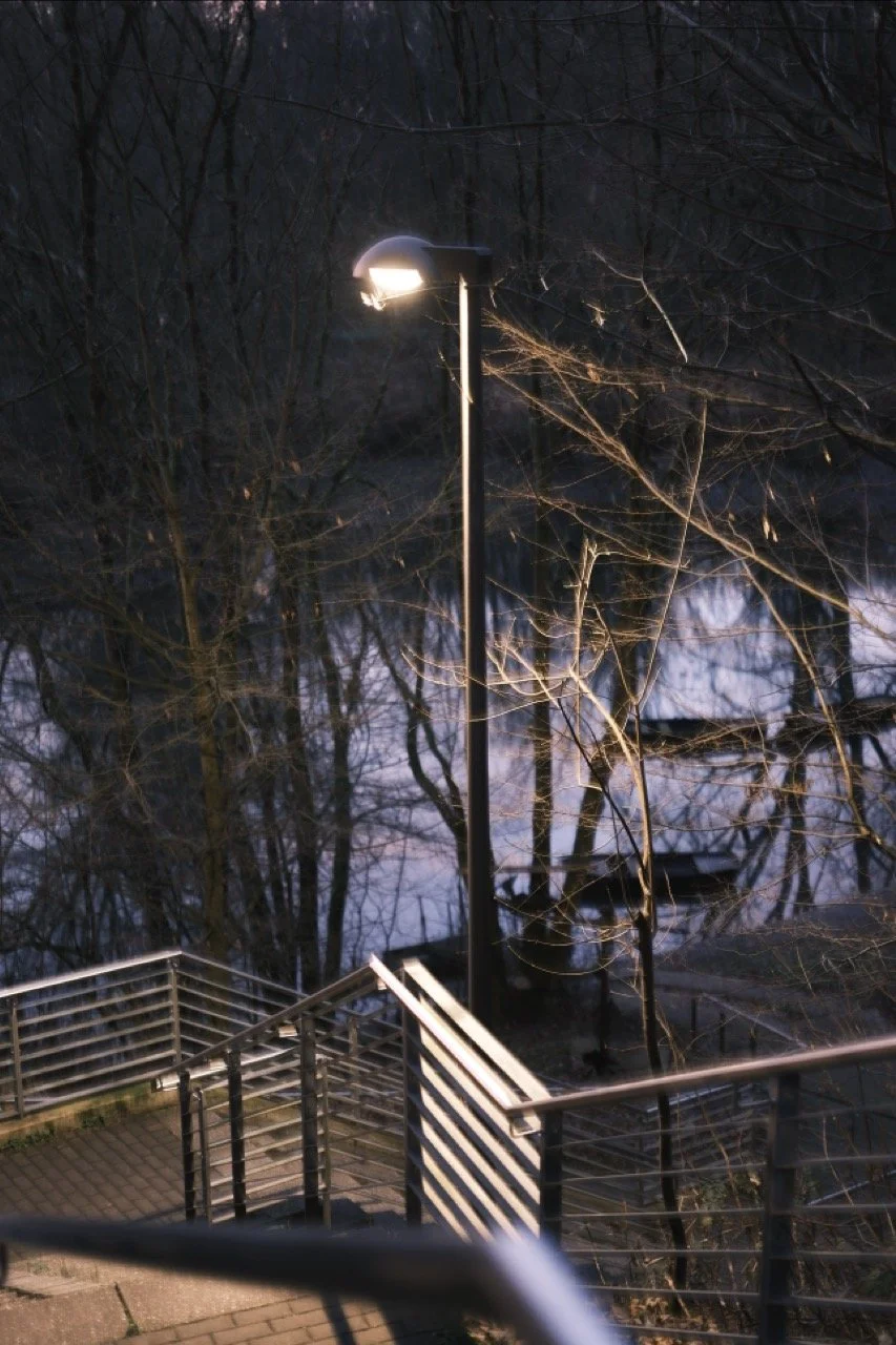 2025-12-18_08-00-57_X-T50_DSF7929 Large.jpeg