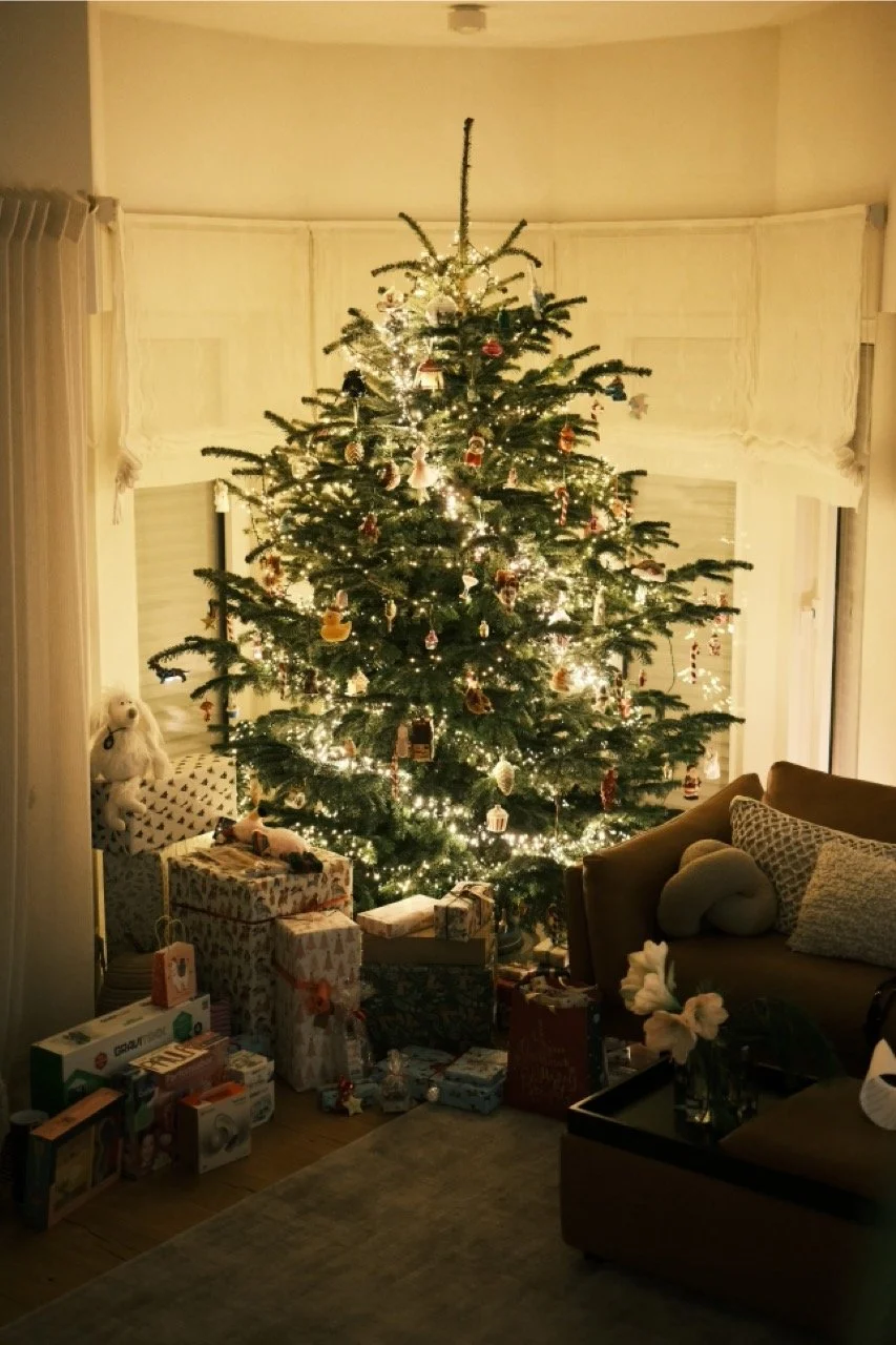 2025-12-25_01-52-13_X-T50DSCF9478 Large.jpeg