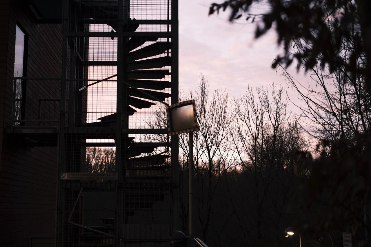 2025-12-18_08-00-29_X-T50_DSF7927 Large.jpeg