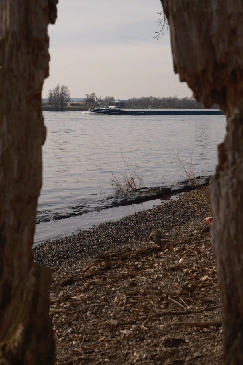 2025-12-12_12-58-17_X-T50_DSF7800 Large.jpeg