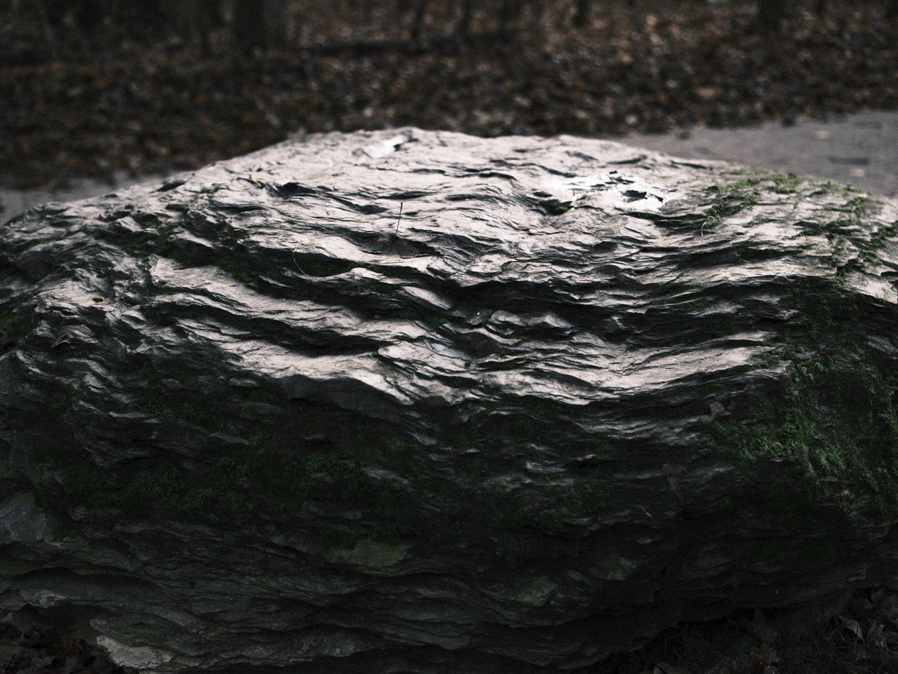 2025-12-22_10-48-09_X-T50_DSF8076 Large.jpeg