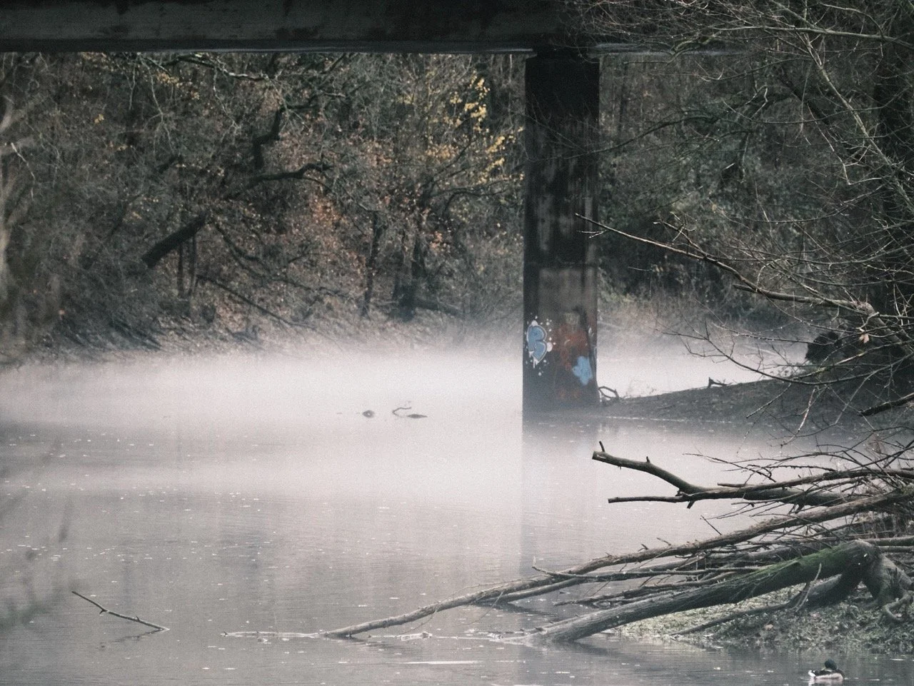 2025-12-08_10-48-13_X-T50_DSF7539 Large.jpeg