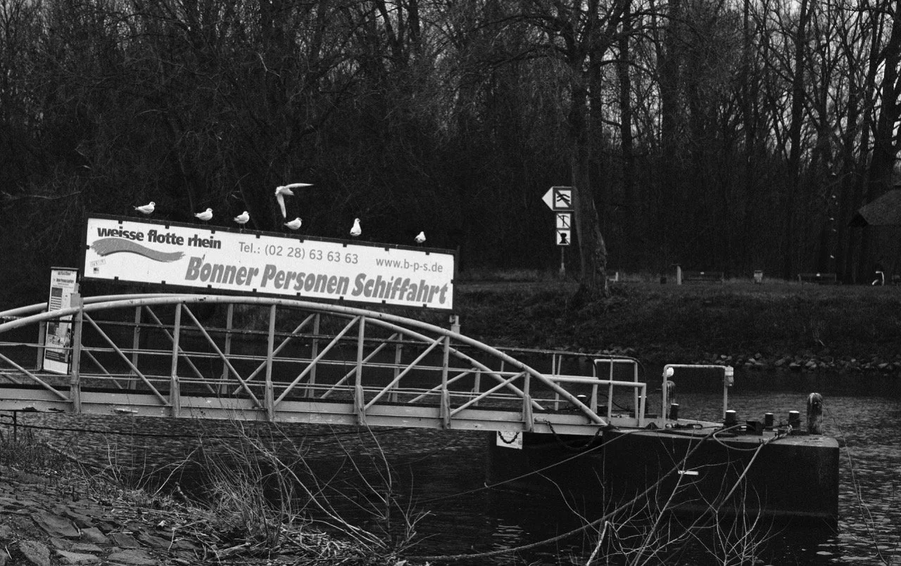 2025-12-14_11-48-19_X-T50_DSF7867 Large.jpeg