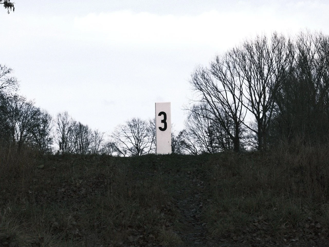 2025-12-22_10-07-41_X-T50_DSF8022 Large.jpeg