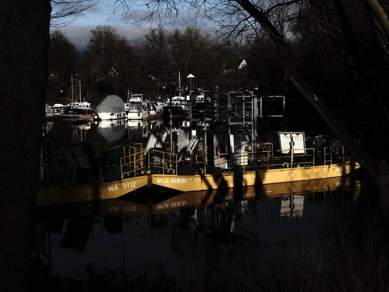 2025-12-14_14-13-26_X-T50_DSF7891 Large.jpeg