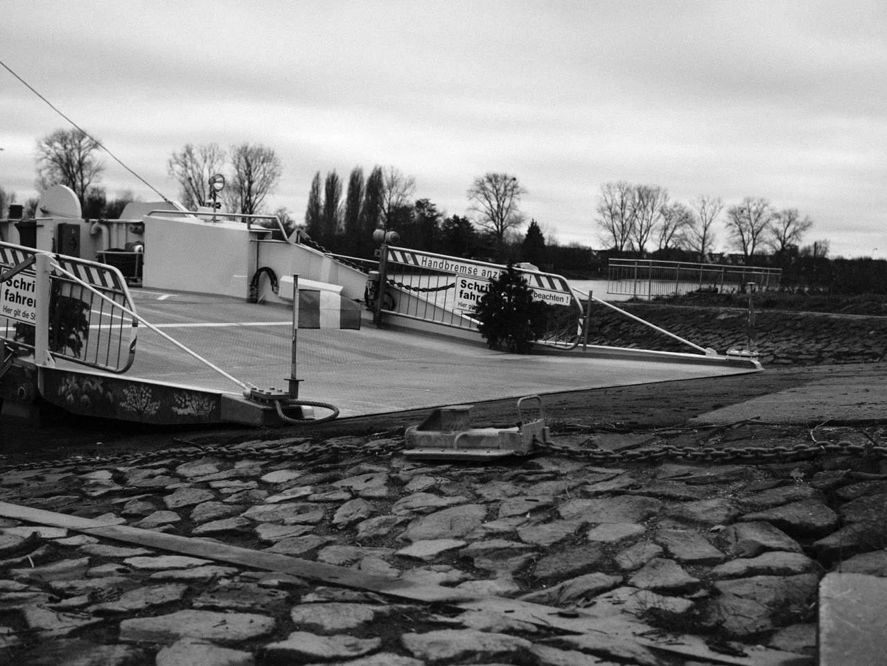 2025-12-14_11-43-51_X-T50_DSF7862 Large.jpeg