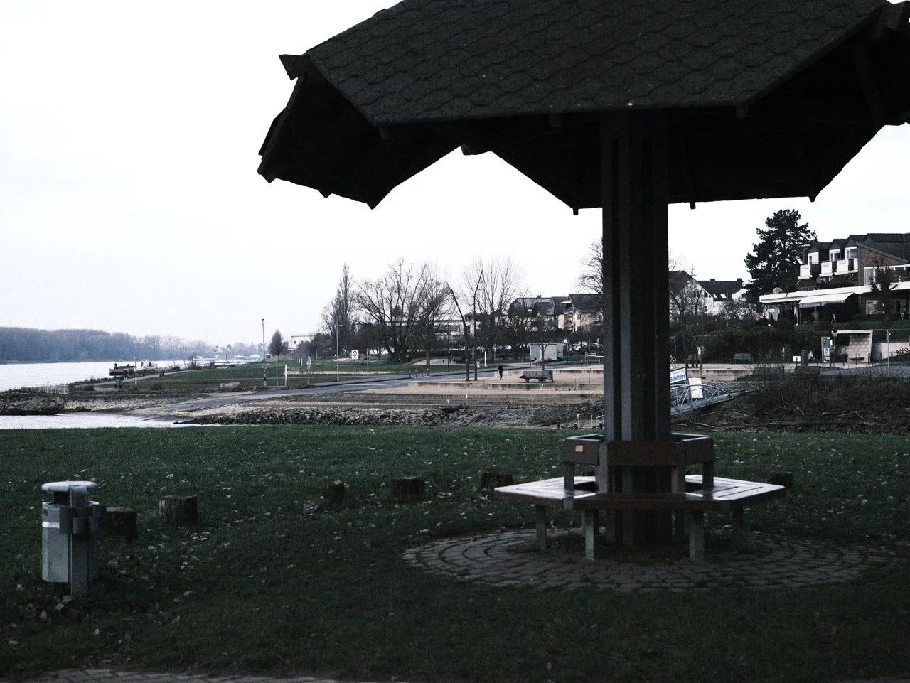 2025-12-22_10-33-32_X-T50_DSF8064 Large.jpeg