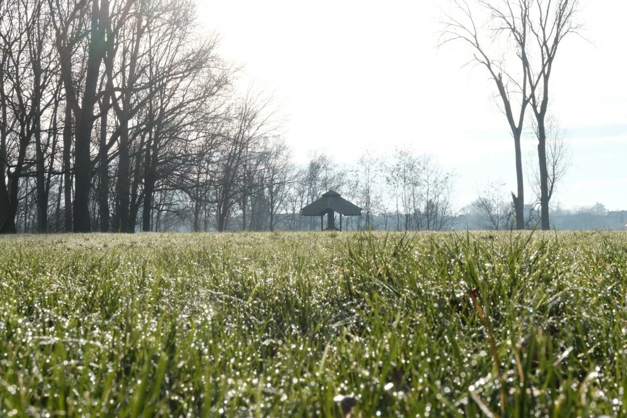 2025-12-27_12-31-04_X-T50_DSCF9724 Large.jpeg