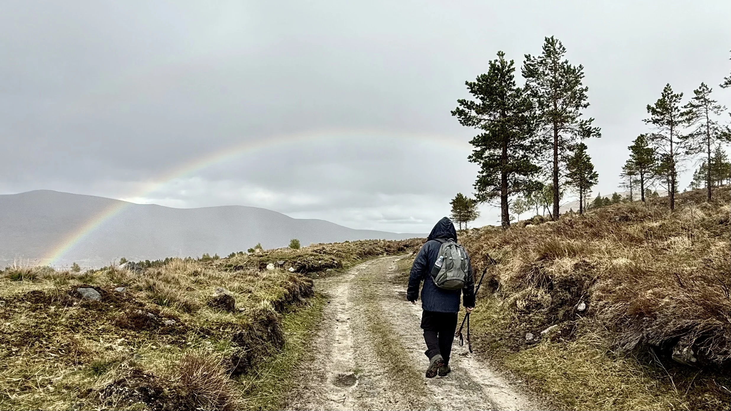 Descending from the Fannichs