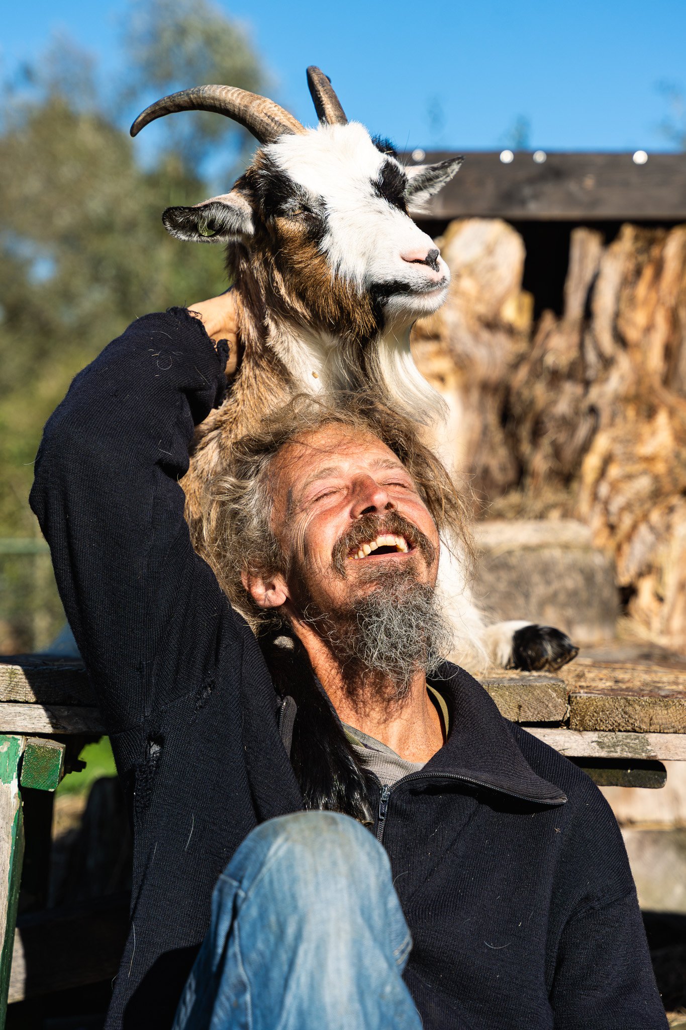 A man with a beard and long hair gets a goat on his shoulders. The man appears happy with eyes closed and mouth open. The background shows trees and a wooden structure.