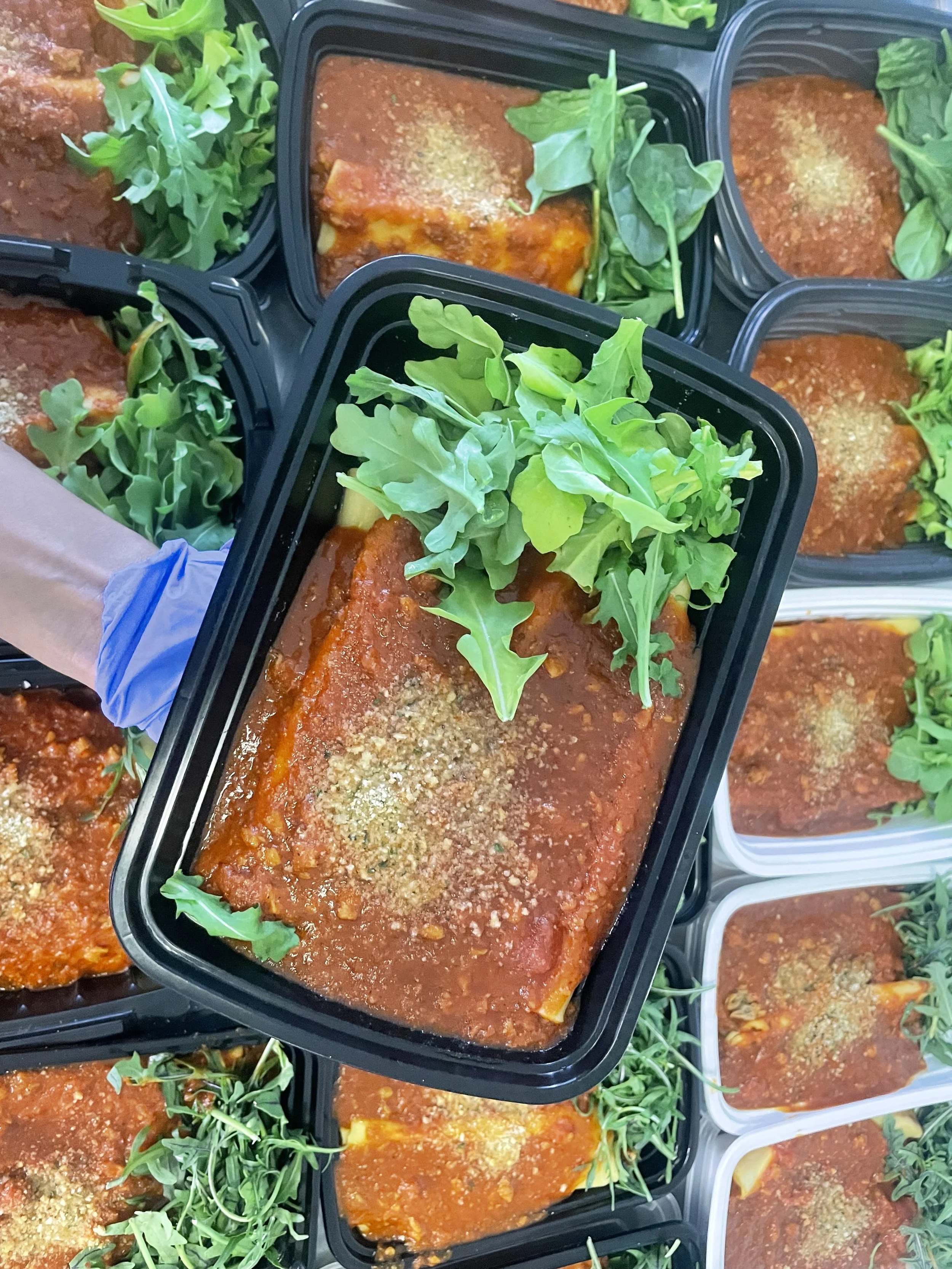 Sauce meal (plant-based rollatinis with arugula salad)