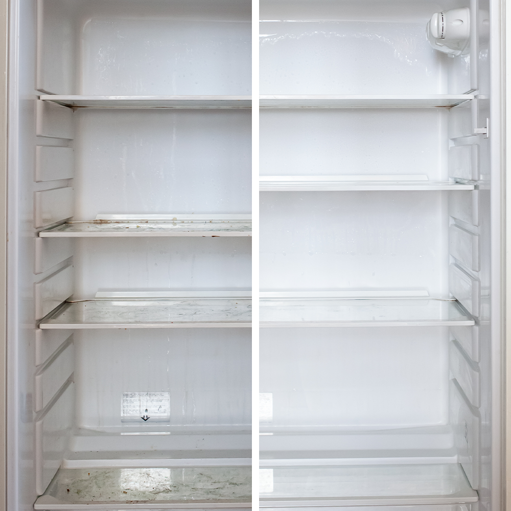 fridge.png
