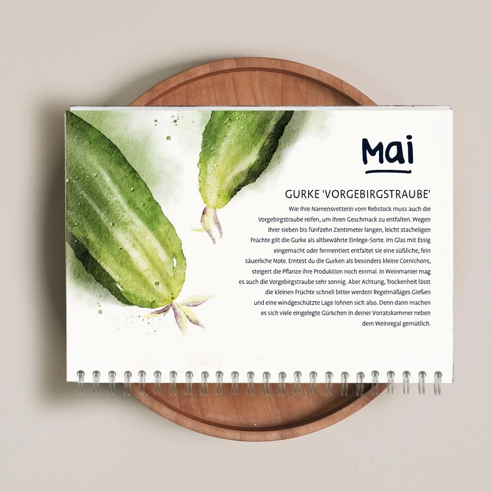 simonebeck_der wachsende Kalender_Gurke_Q 4.jpg