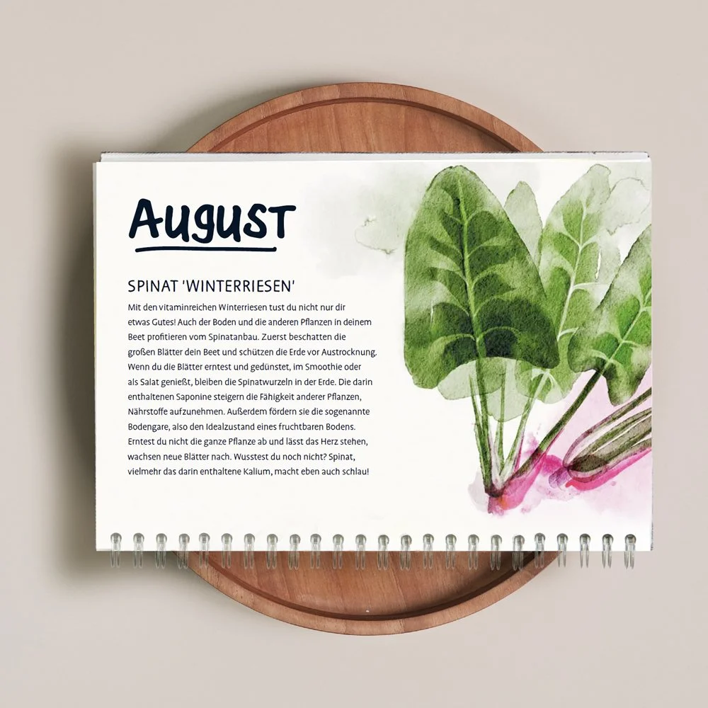 Simonebeck_der wachsende Kalender_SPINAT_Q 1.jpg