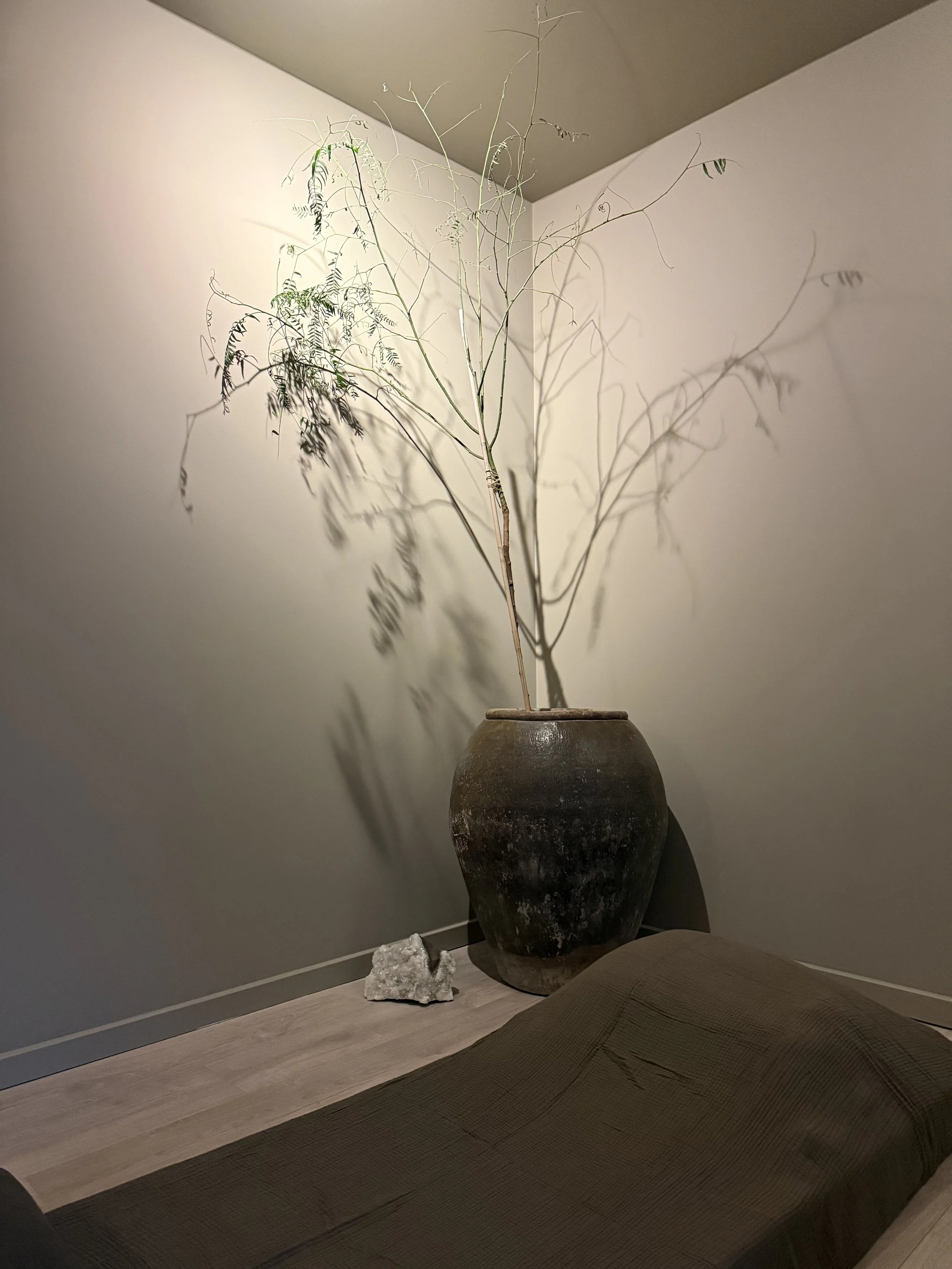 En stor, rustik krukke med en gren med lange, tynde stængler og spinkle blade. Der er en sten på gulvet foran krukken, og en del af en sofa eller seng i bunden af billedet.