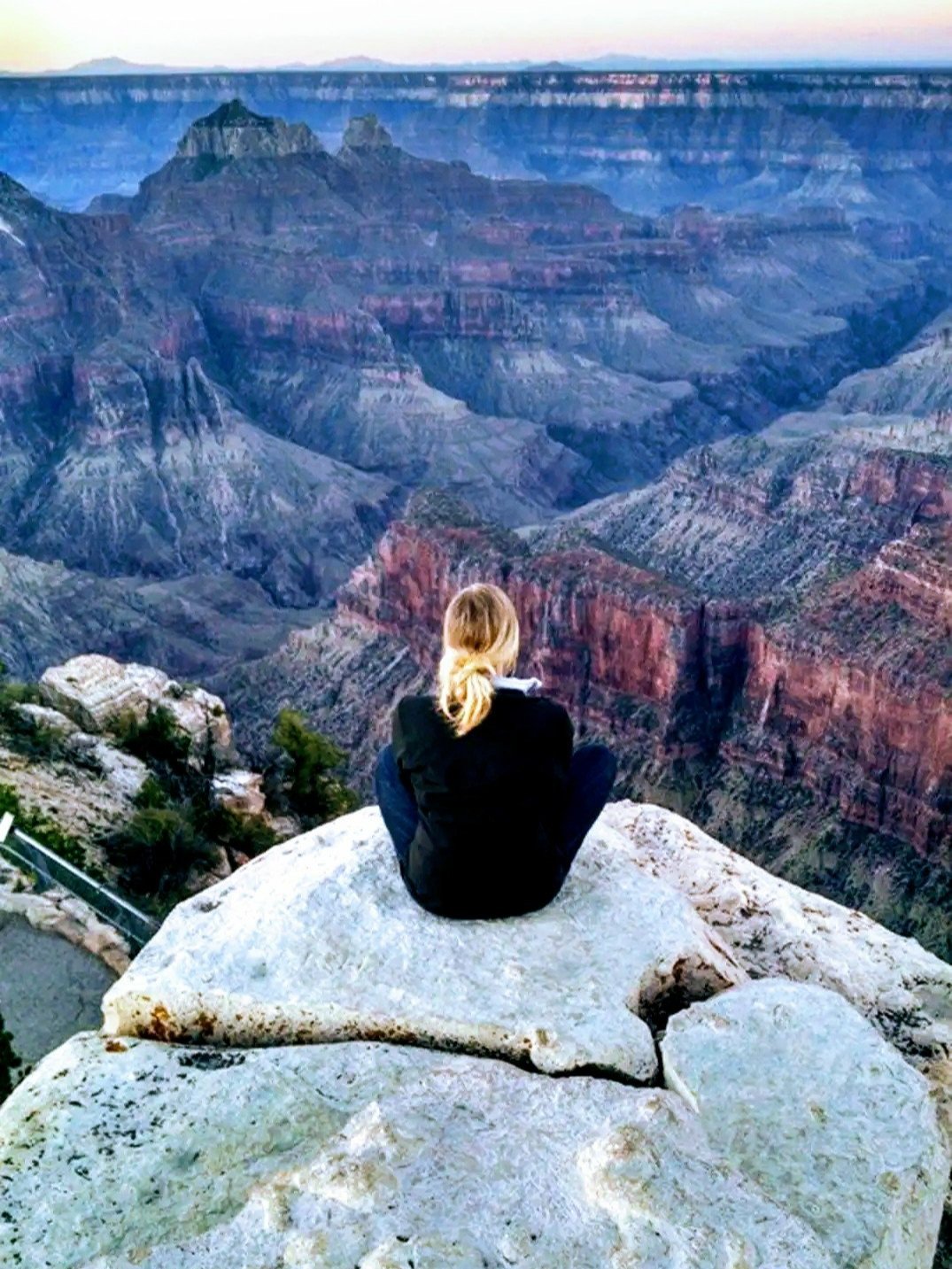 Healing Your Whole Self