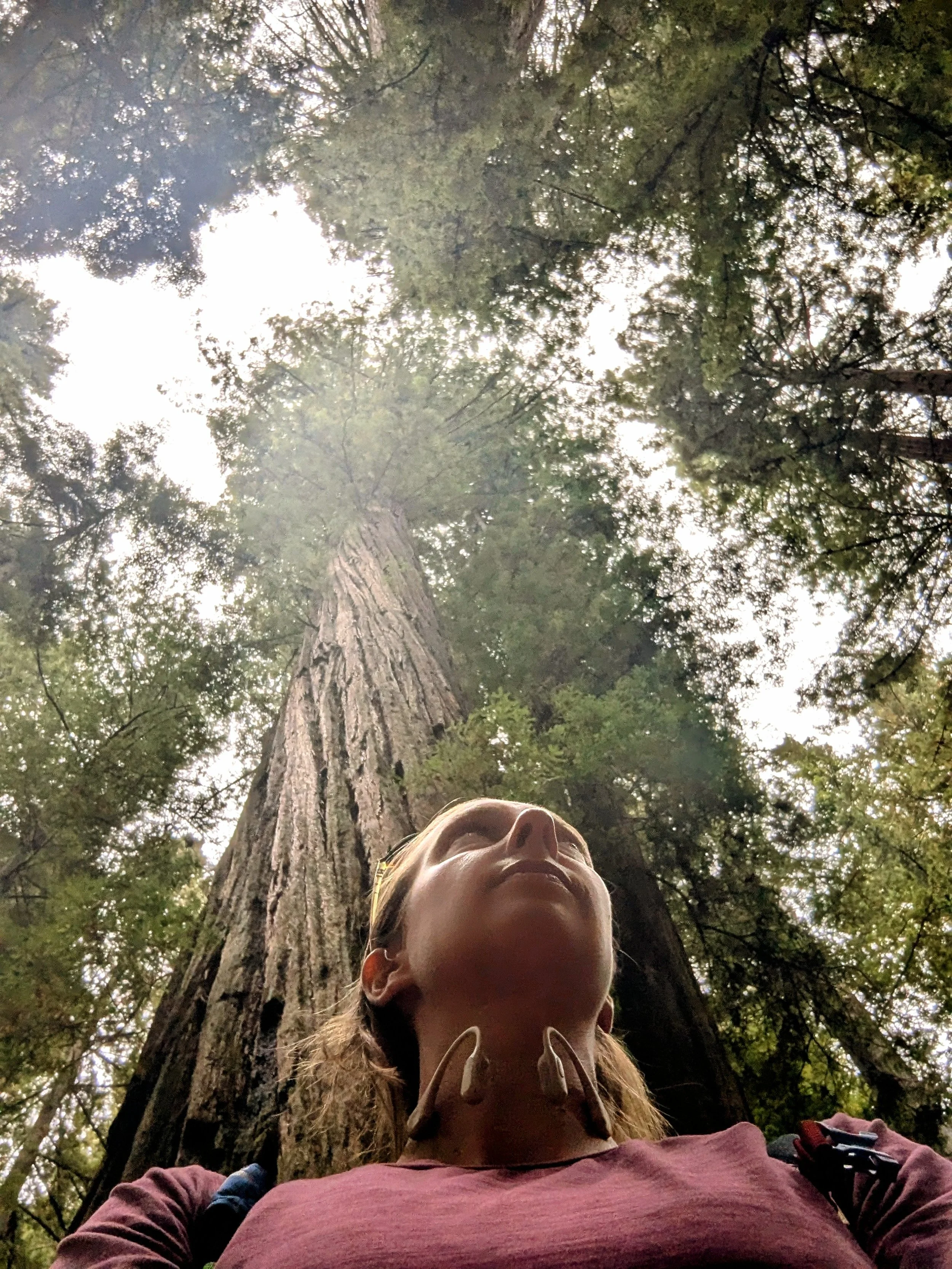 πΏ Nature Walks & Mental Health: Why Stepping Outside Heals from the Inside Out