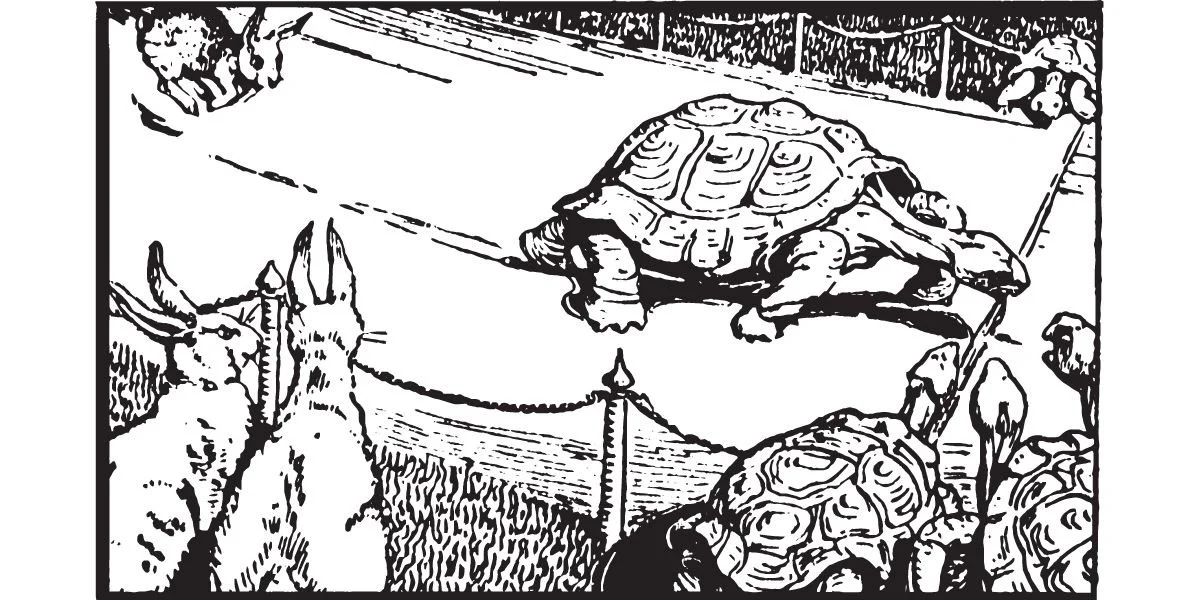 Mwenda Kasi, Mngoje Achoke