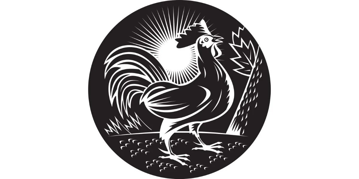 Jogoo Awike Asiwike, Kutakucha Tu