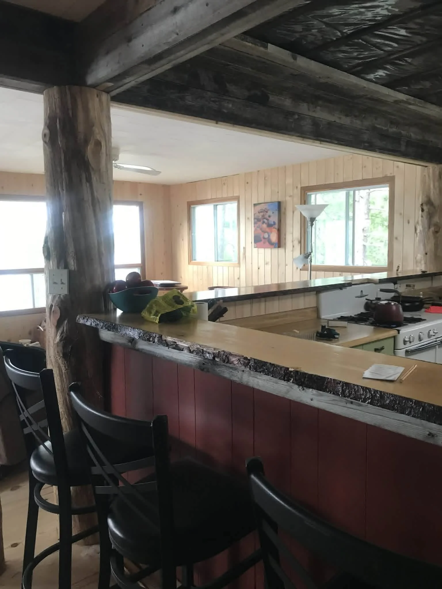 cabin6.jpg