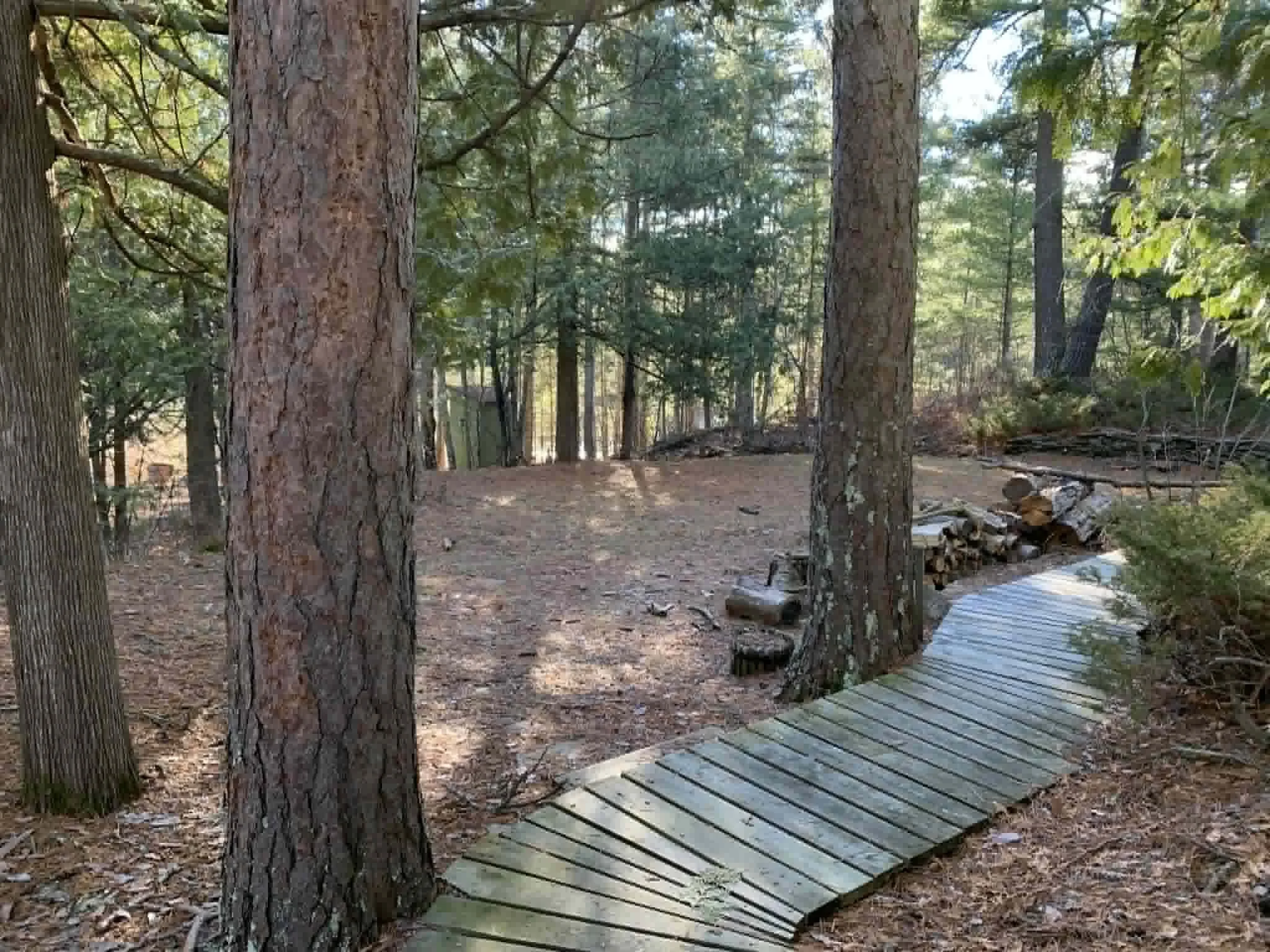 cabin1.jpg