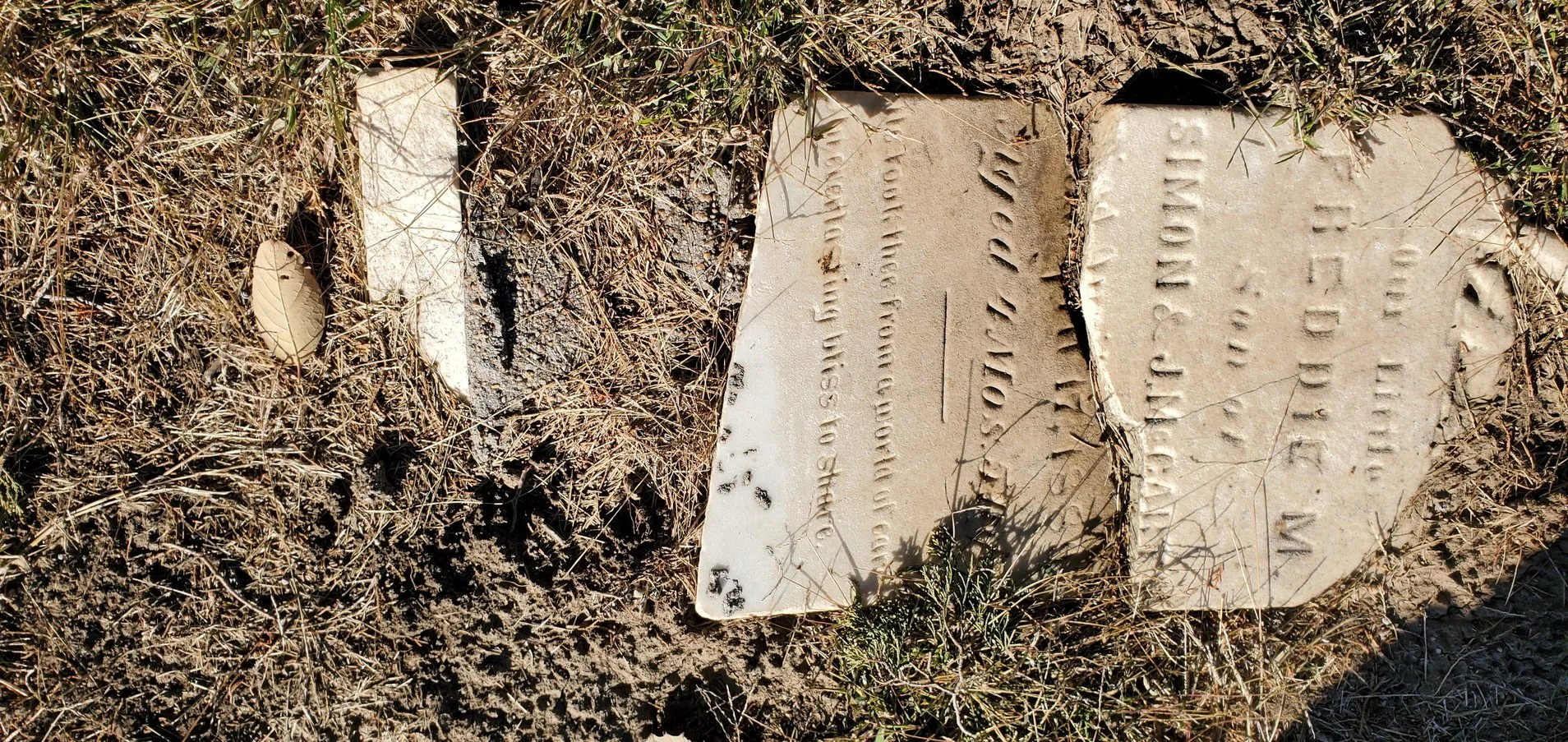 Save-a-Grave Contribution