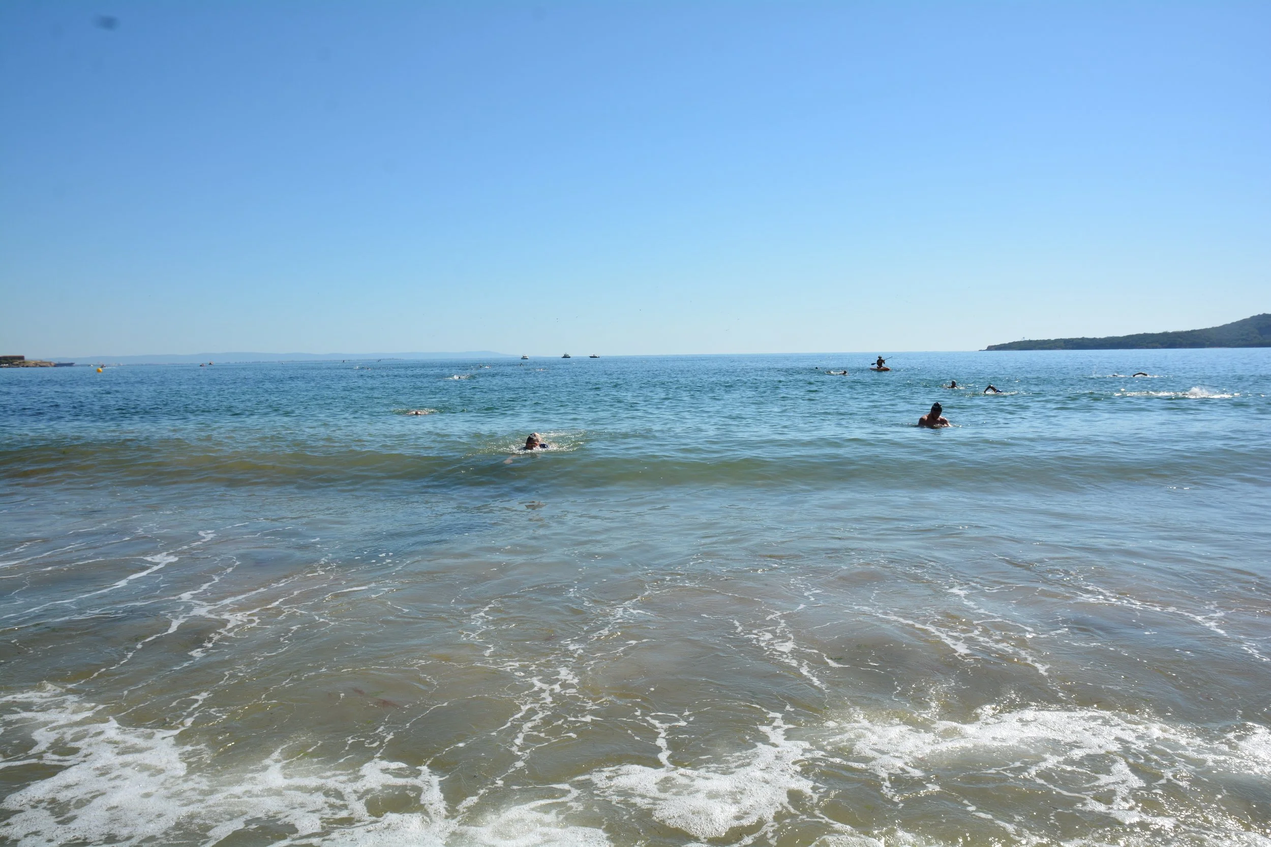 DSC_8583.JPG