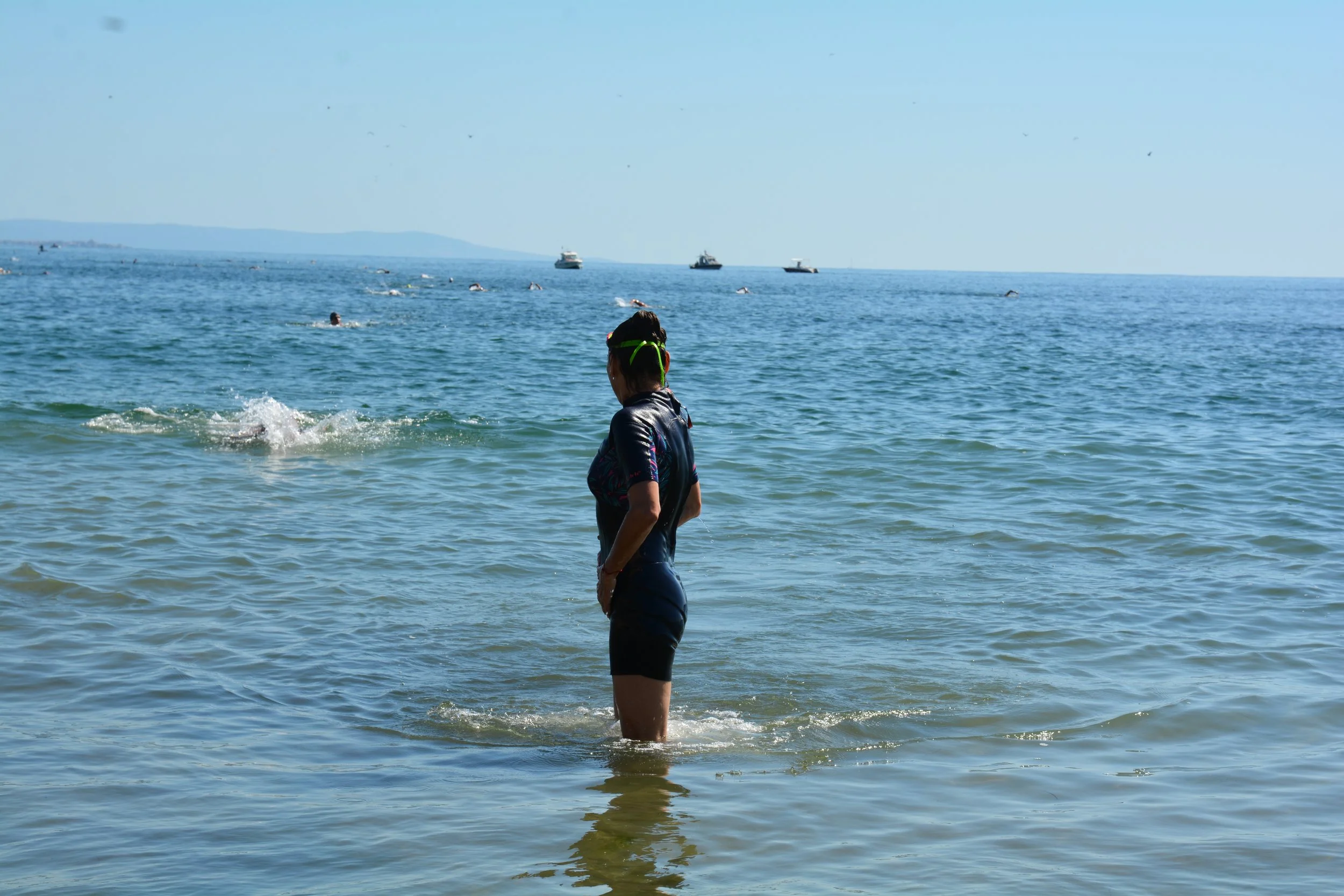 DSC_8584.JPG