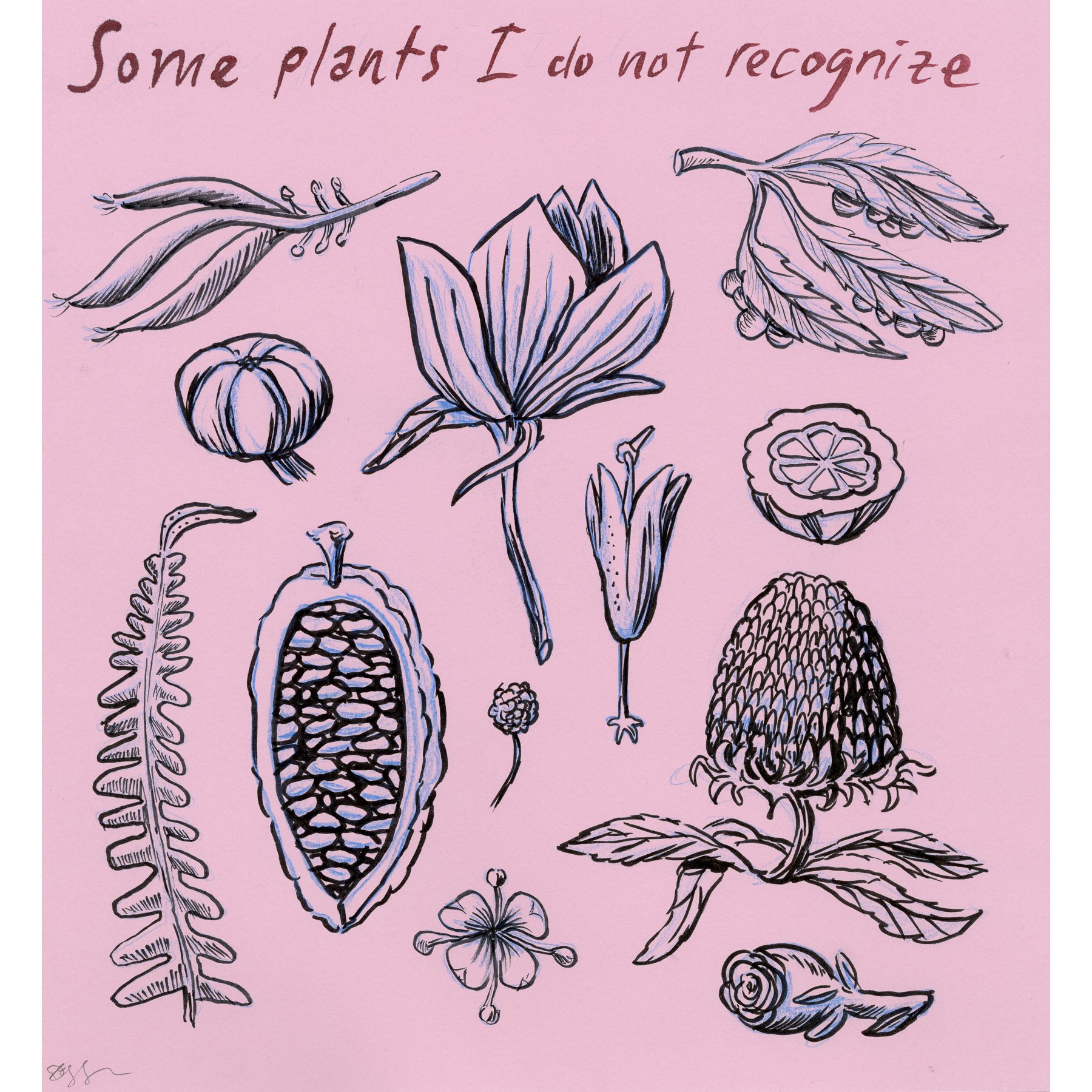 Dave Eggers: Original Works