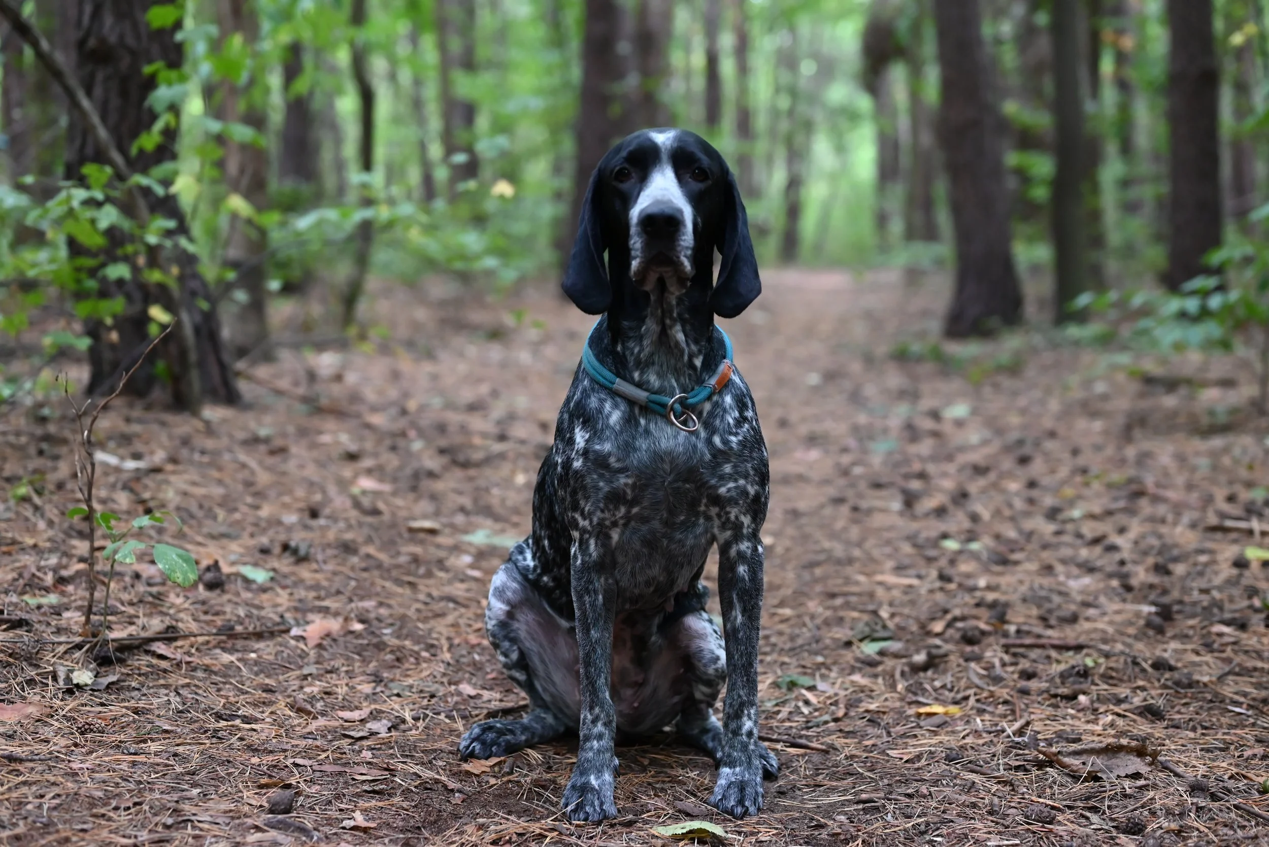 DSC_0099.JPG