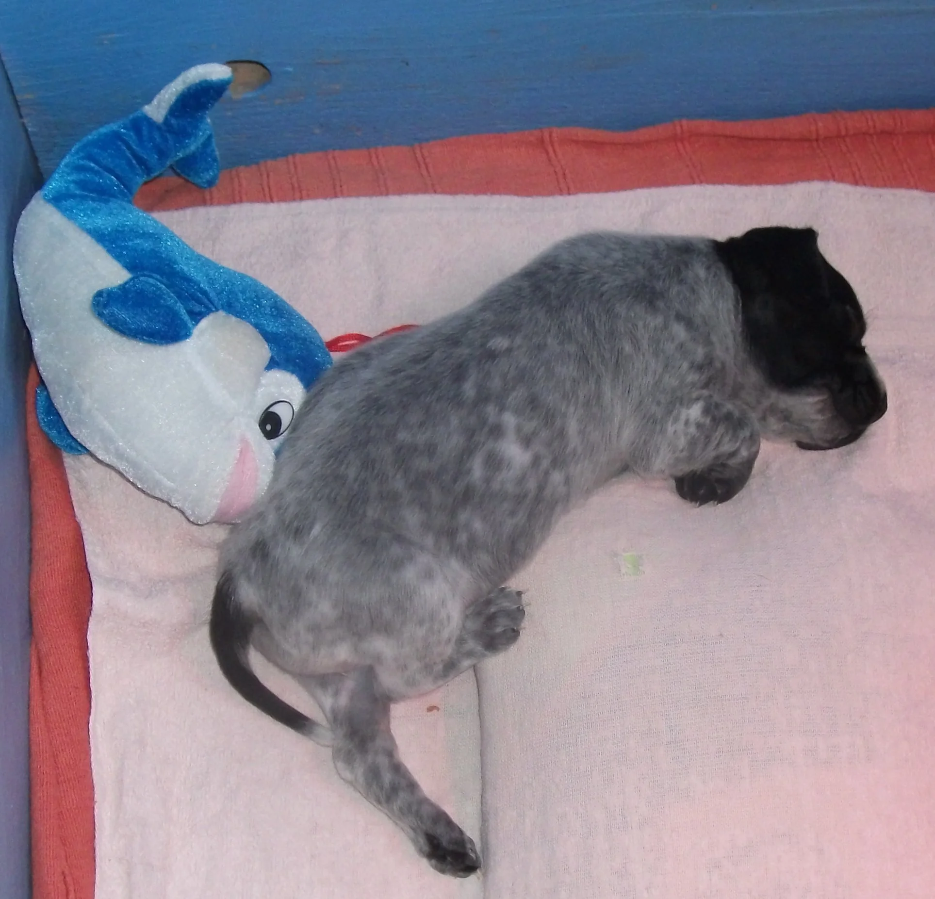 DSCF8755.JPG