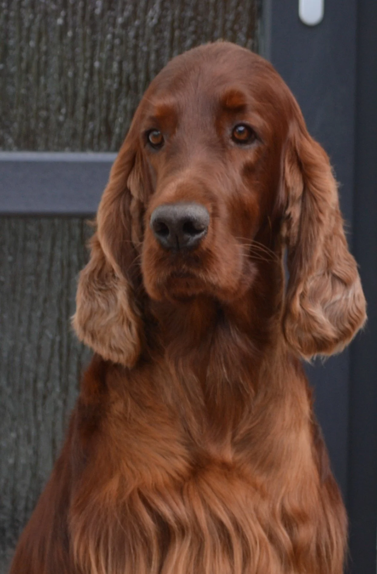 Maxi 3 3-4 years (1).JPG