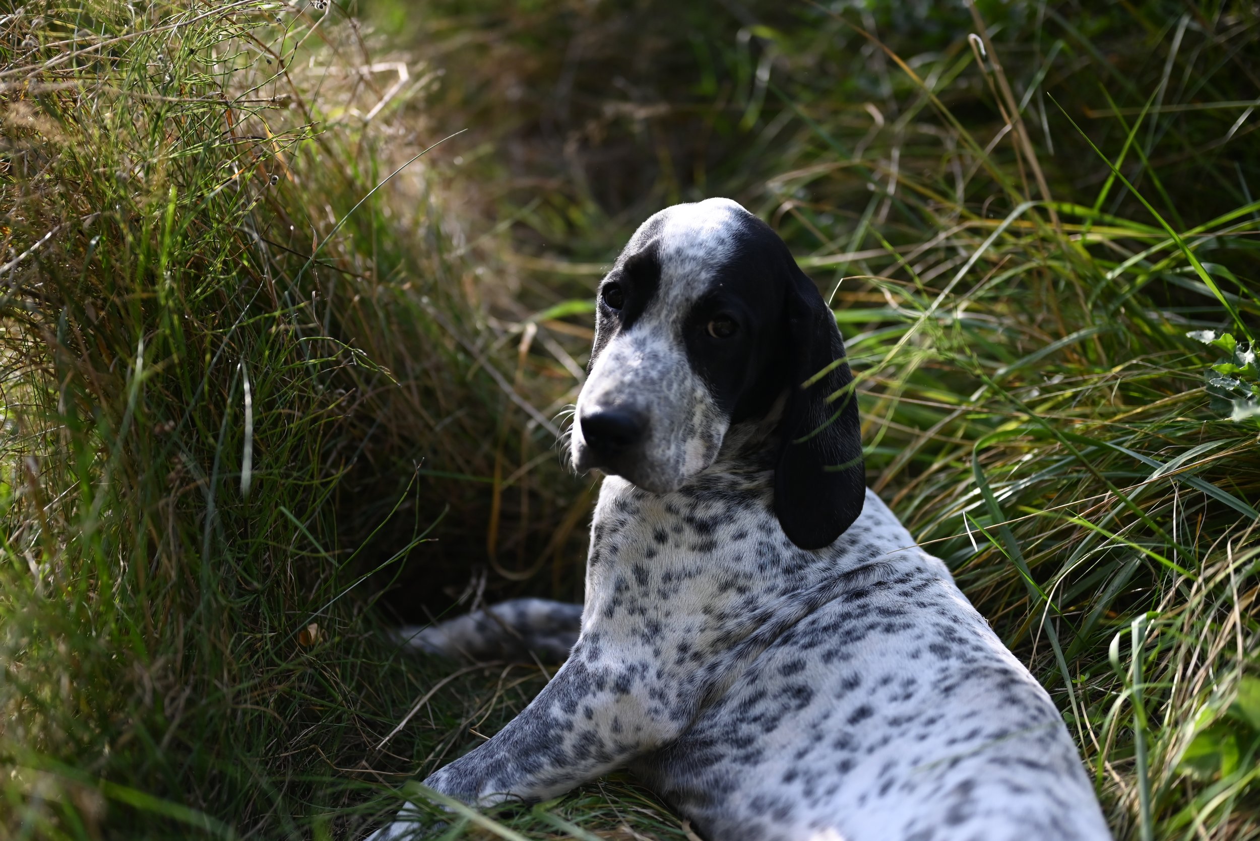 DSC_4658.JPG