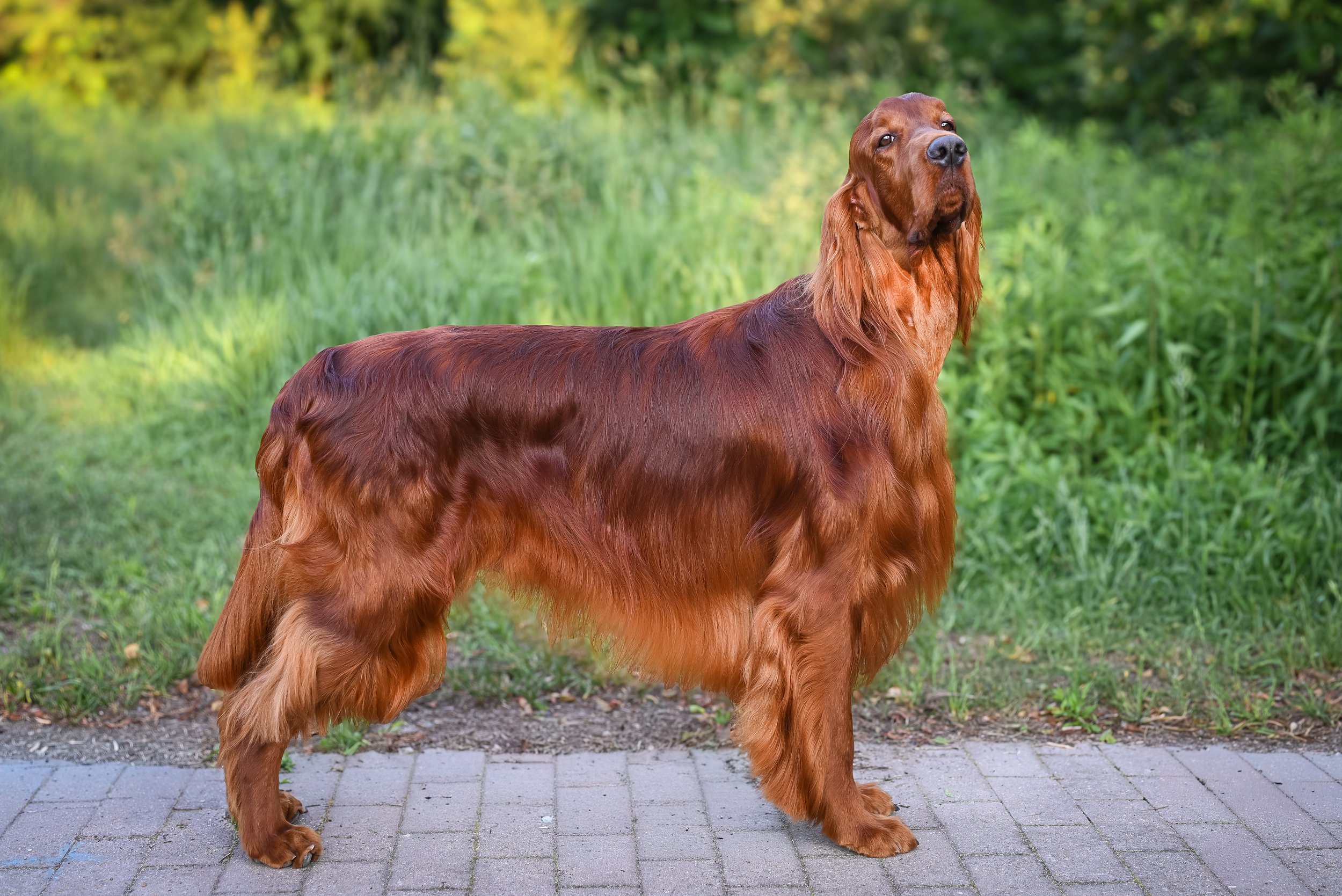 Ranking Wystawowy 2025 Oddziału Łódź