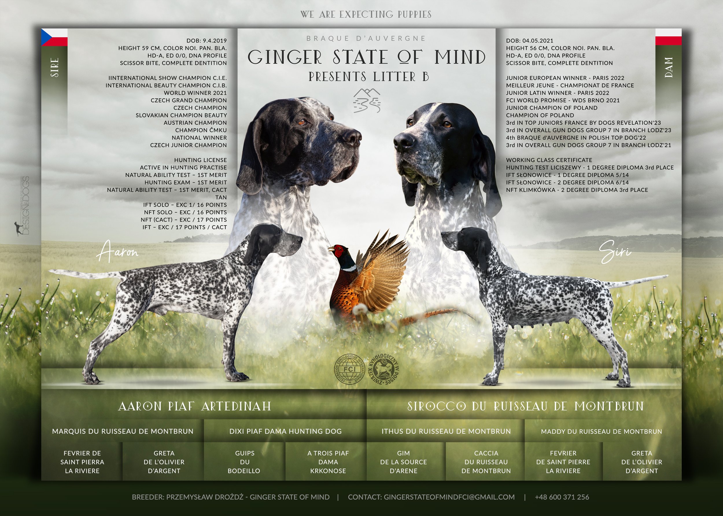 Zapowiedź Miotu “B” Kwiecień 2026