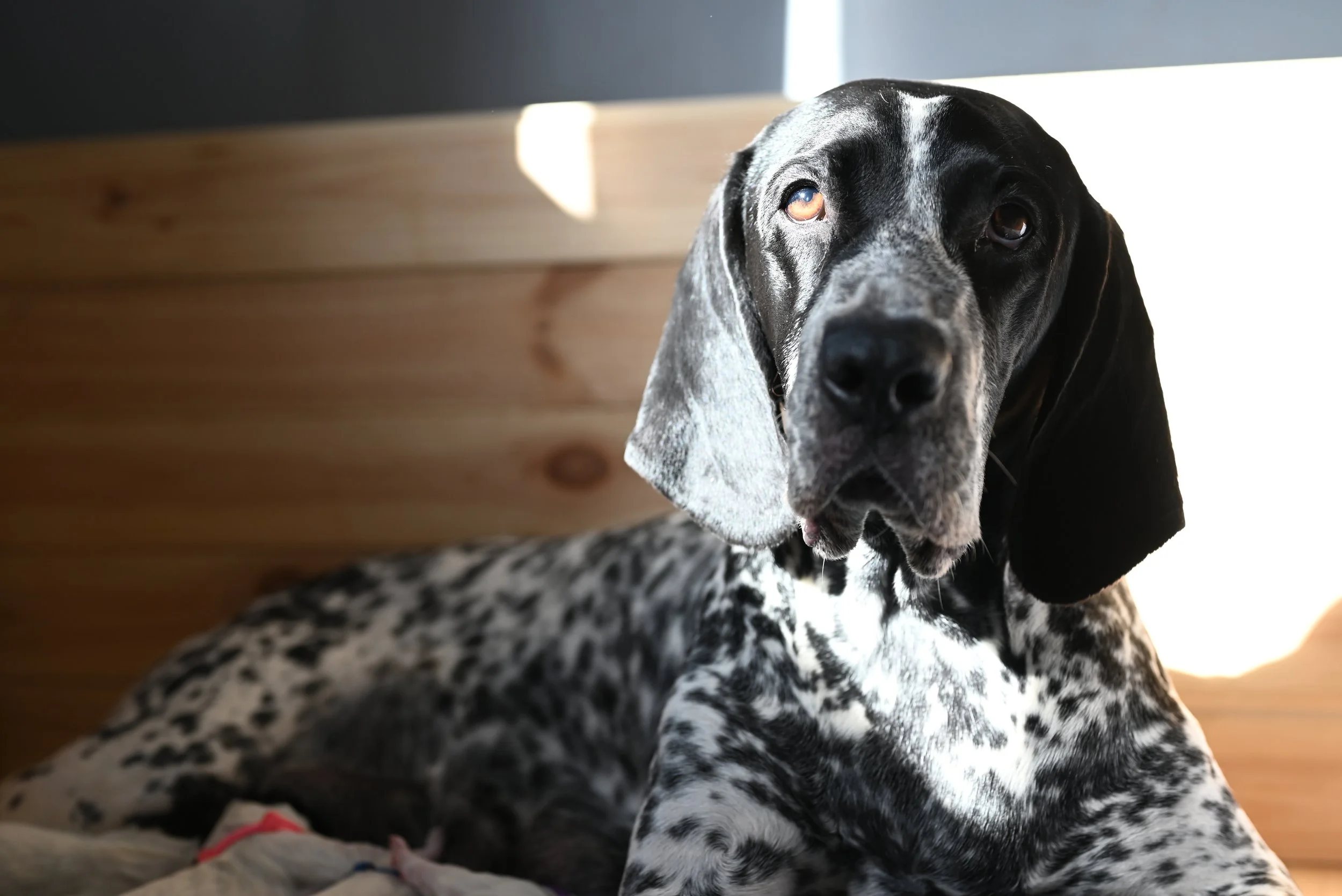 DSC_9420.JPG