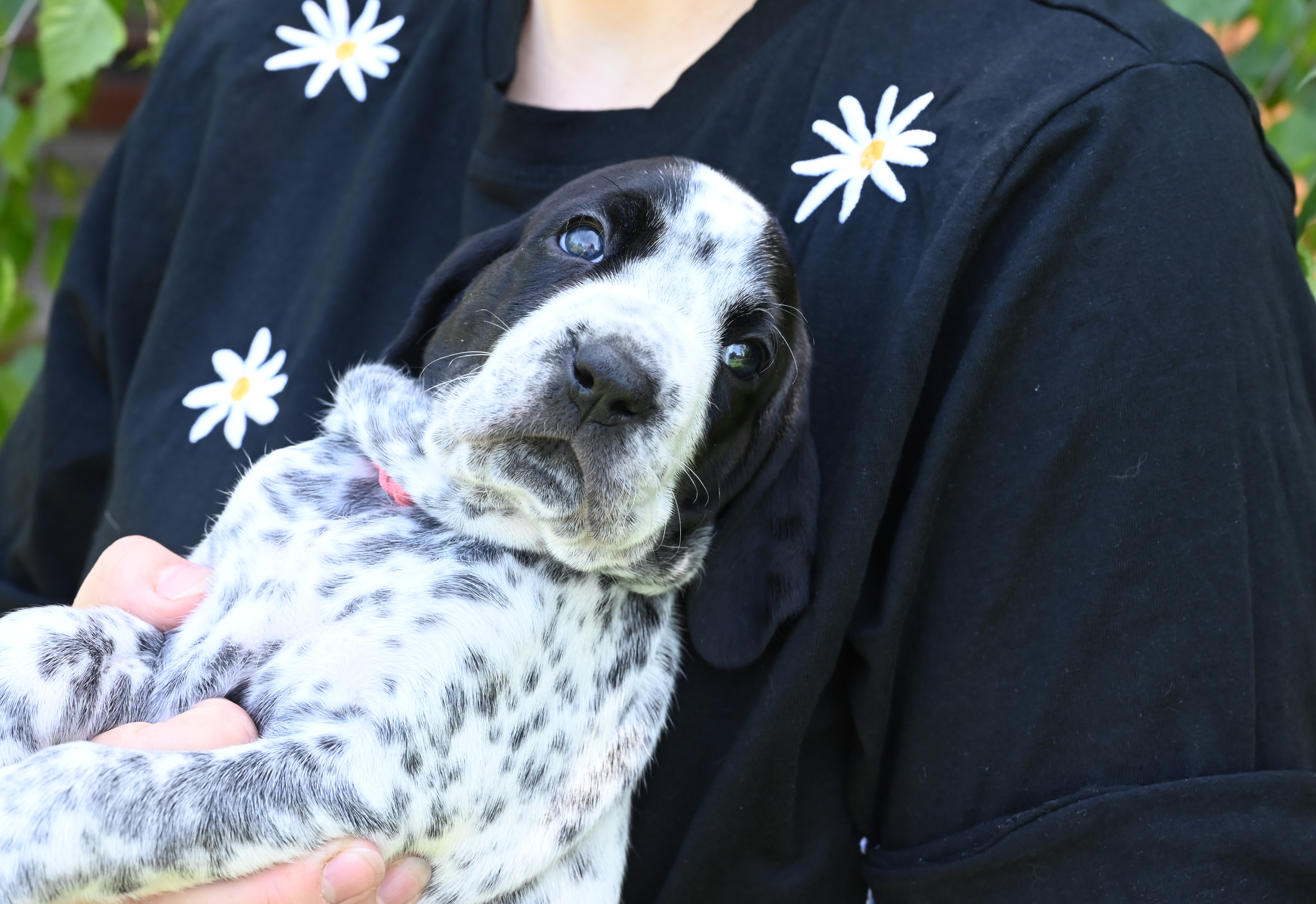 DSC_9731.JPG