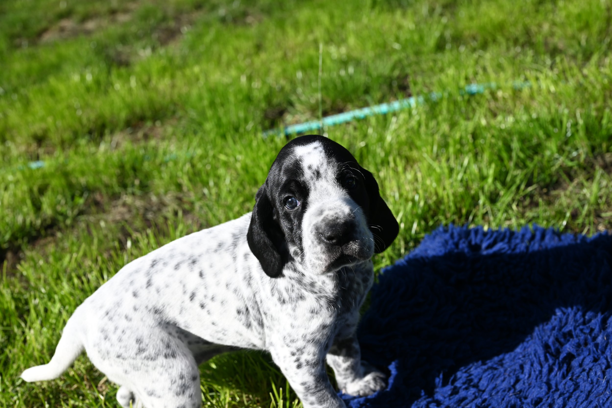 DSC_9791.JPG