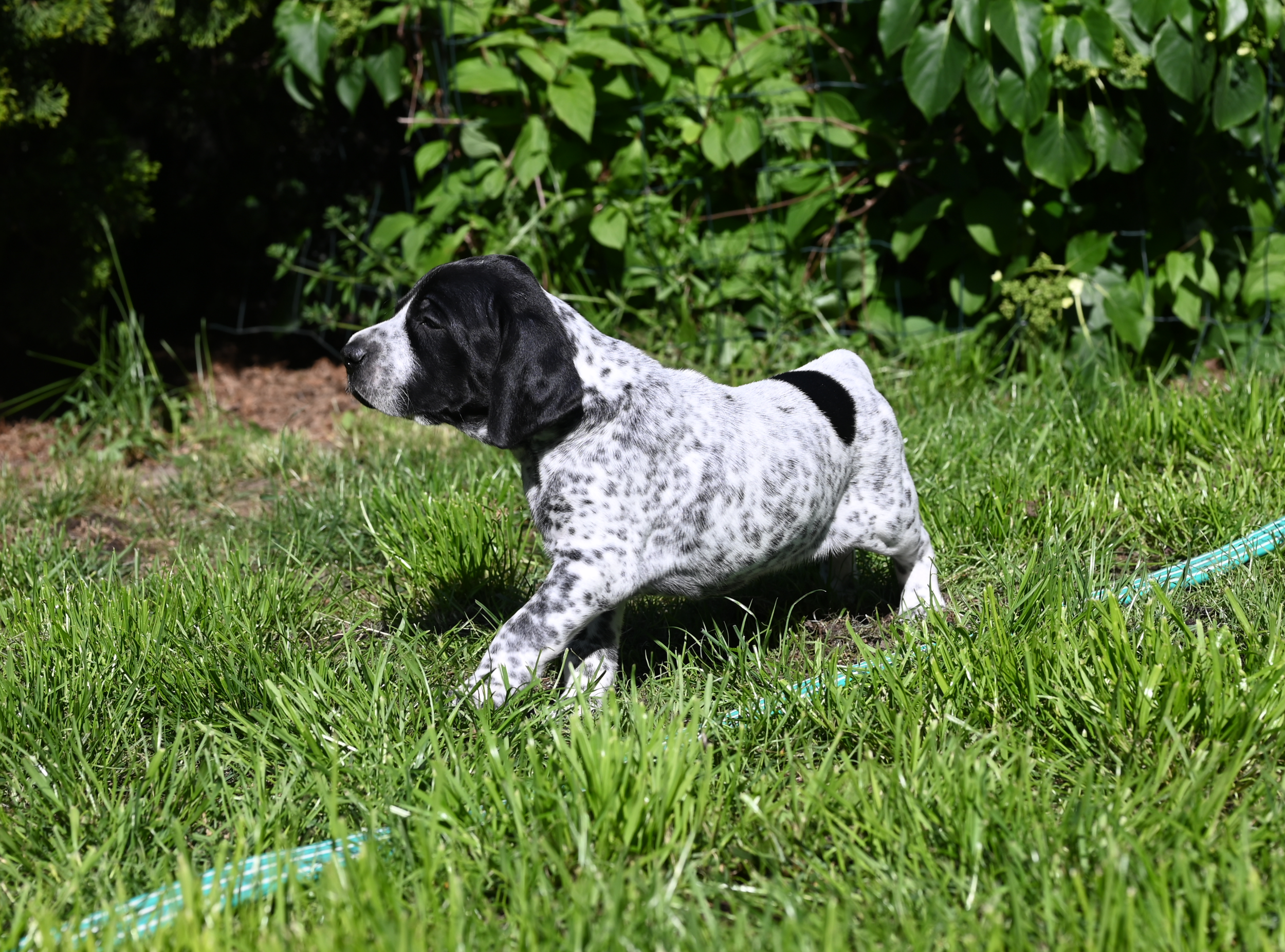 DSC_9779.JPG