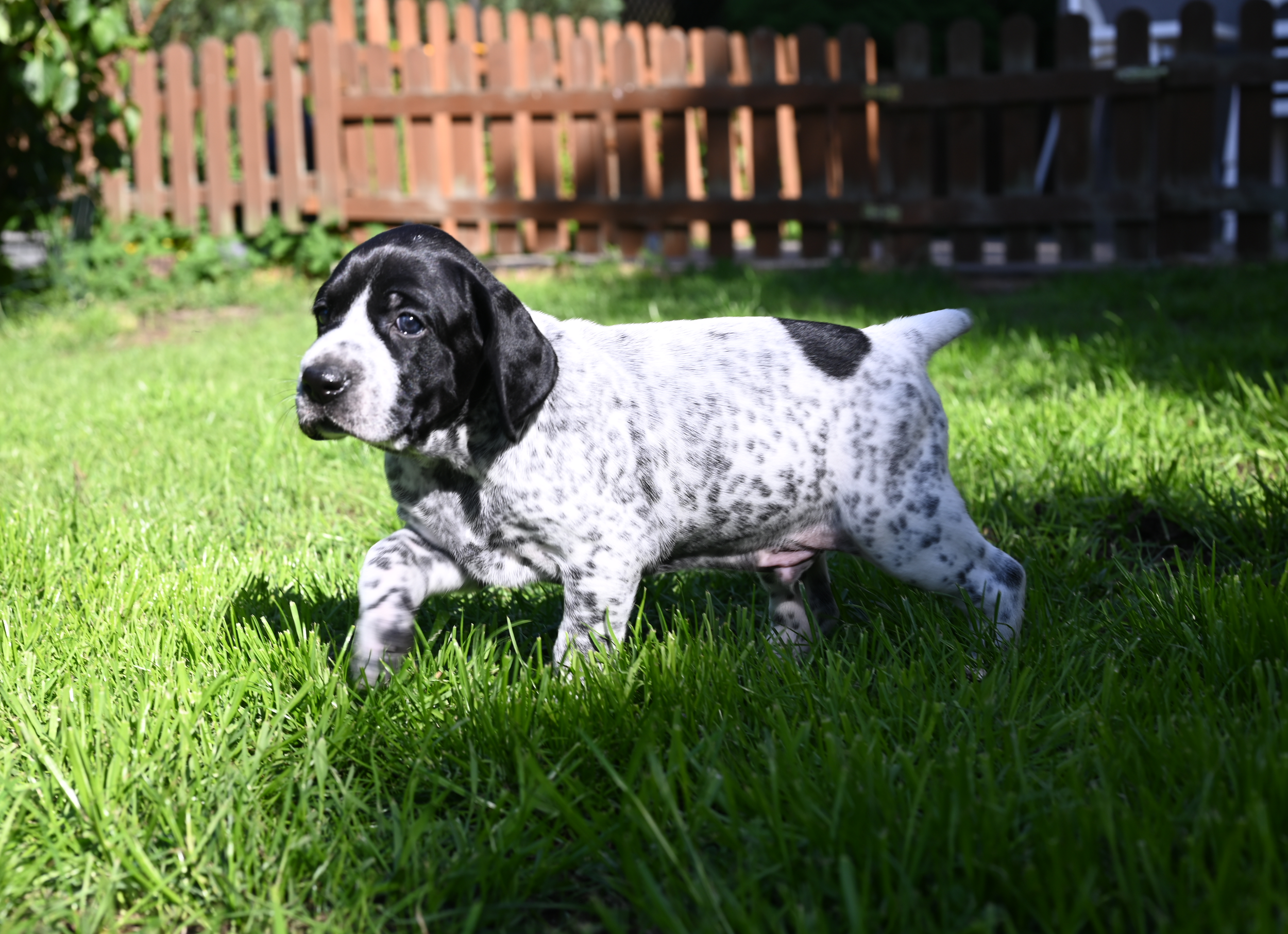 DSC_9810.JPG