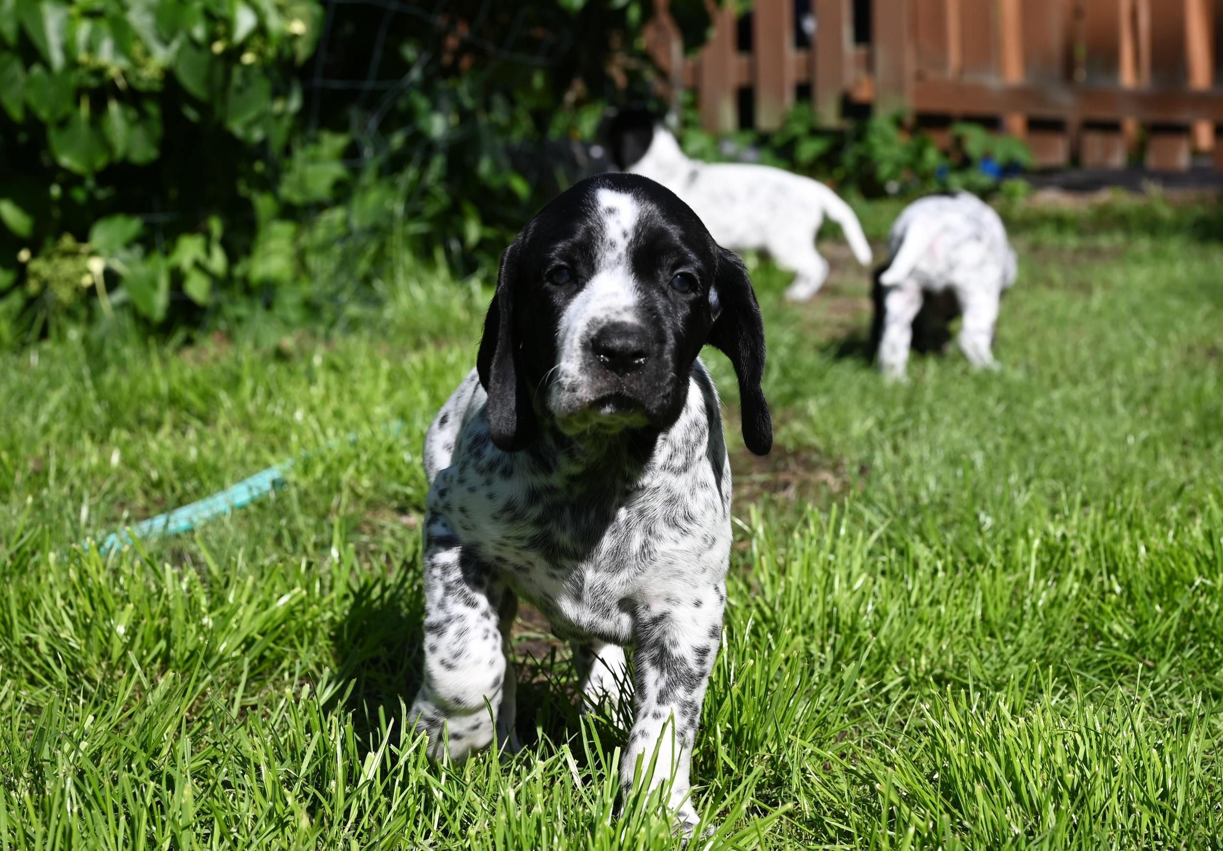 DSC_9780.JPG