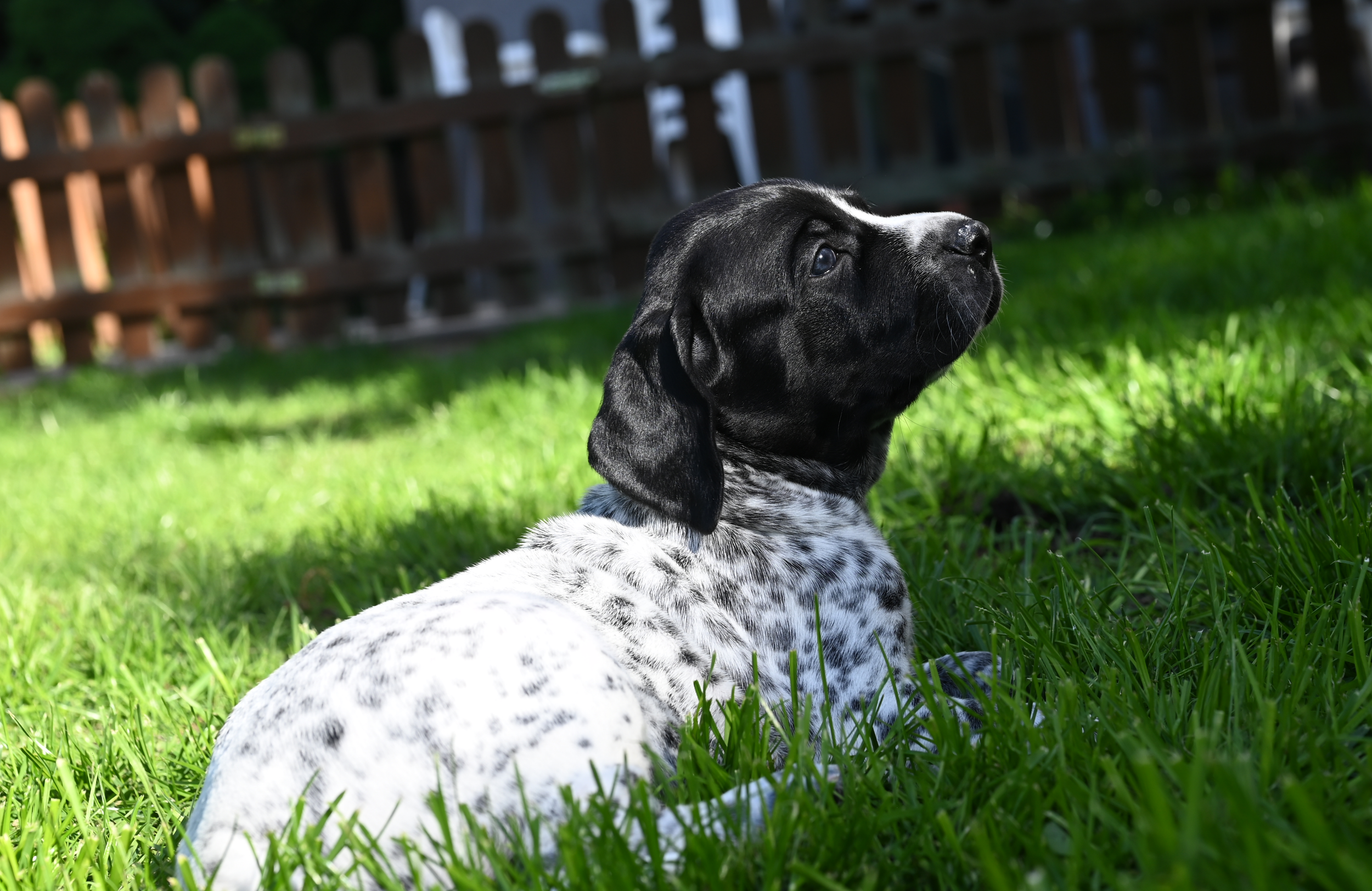 DSC_9818.JPG