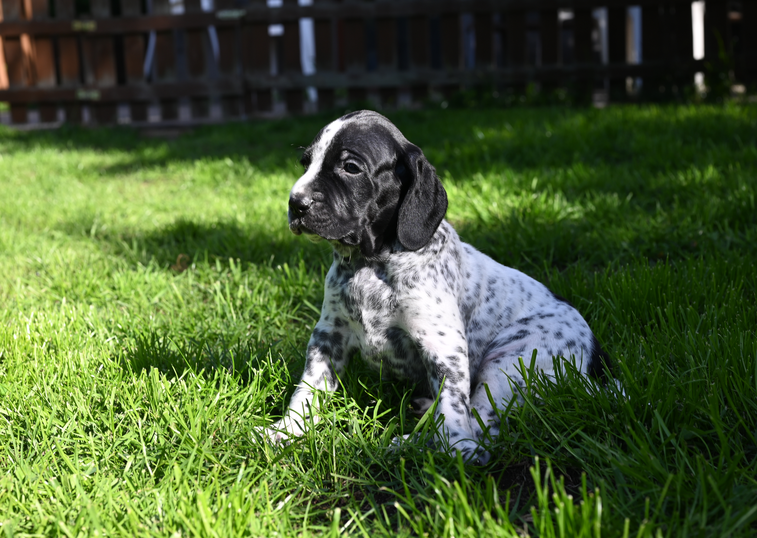 DSC_9826.JPG