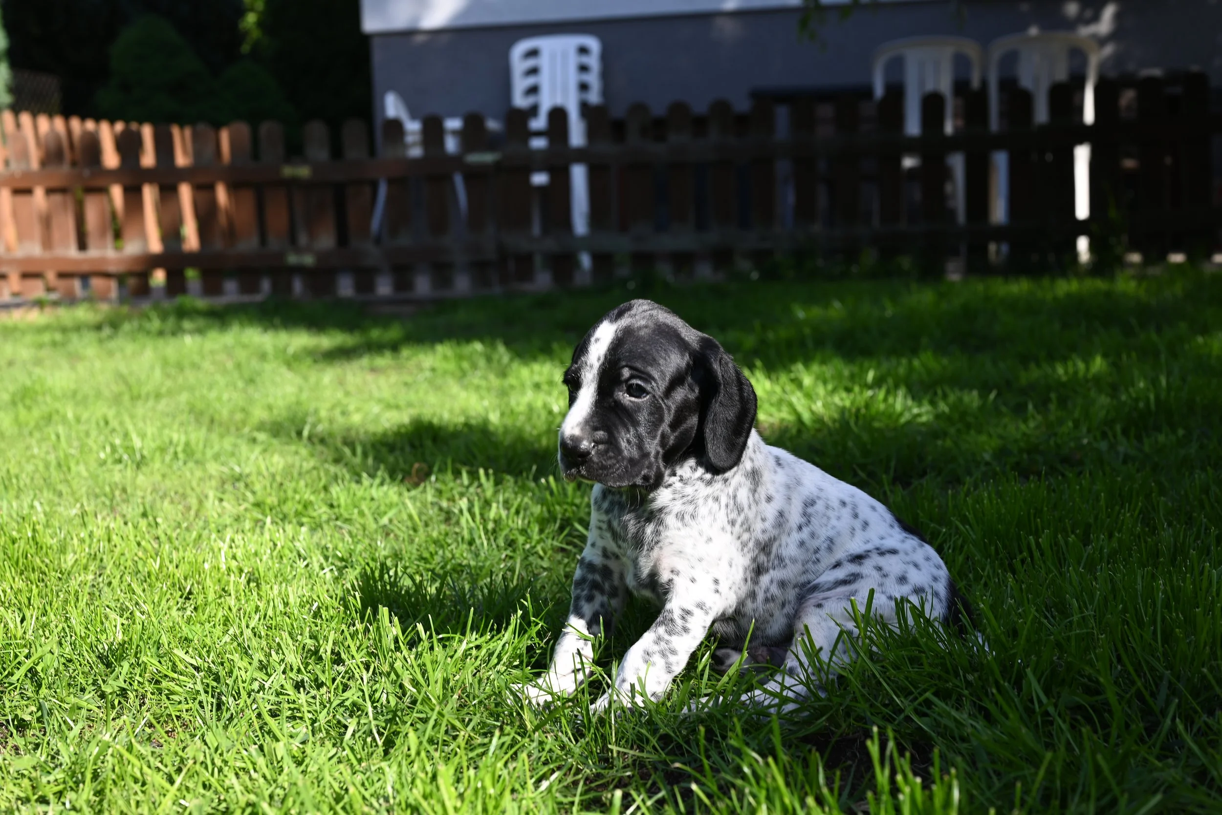DSC_9827.JPG