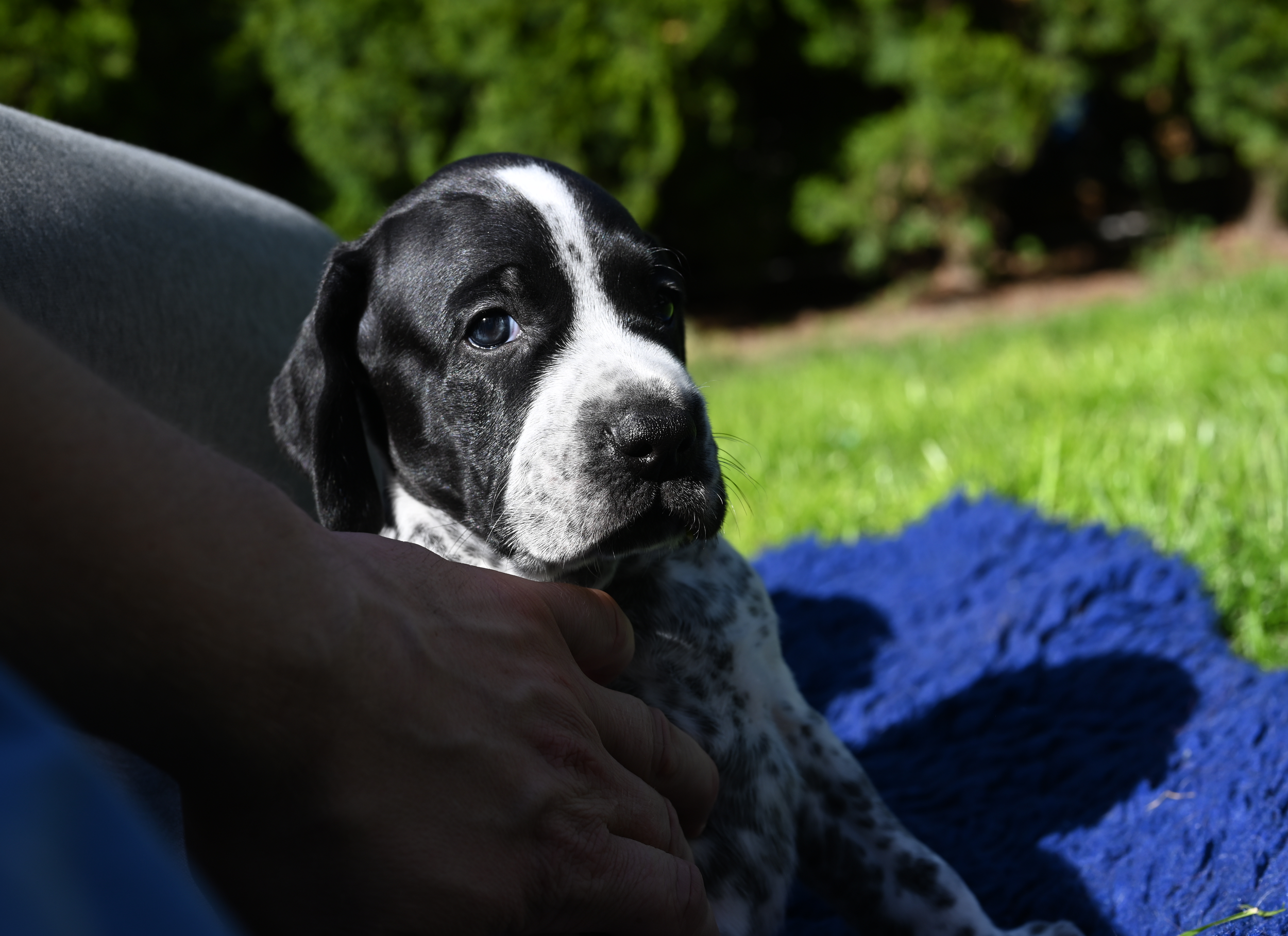 DSC_9815.JPG